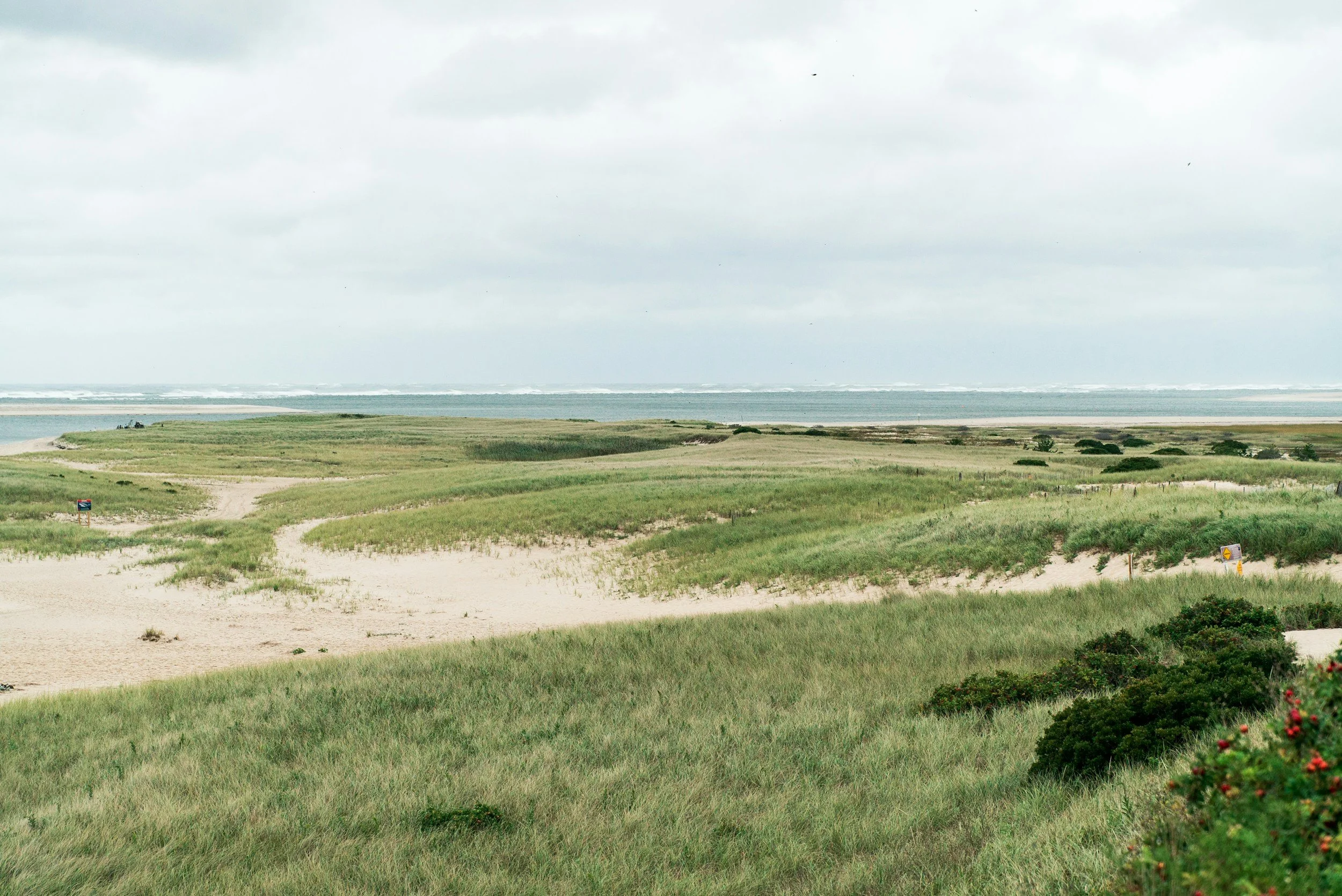 A scenic view of a grassy coastal landscape with sand dunes, a few small shrubs, and a distant body of water under a cloudy sky.