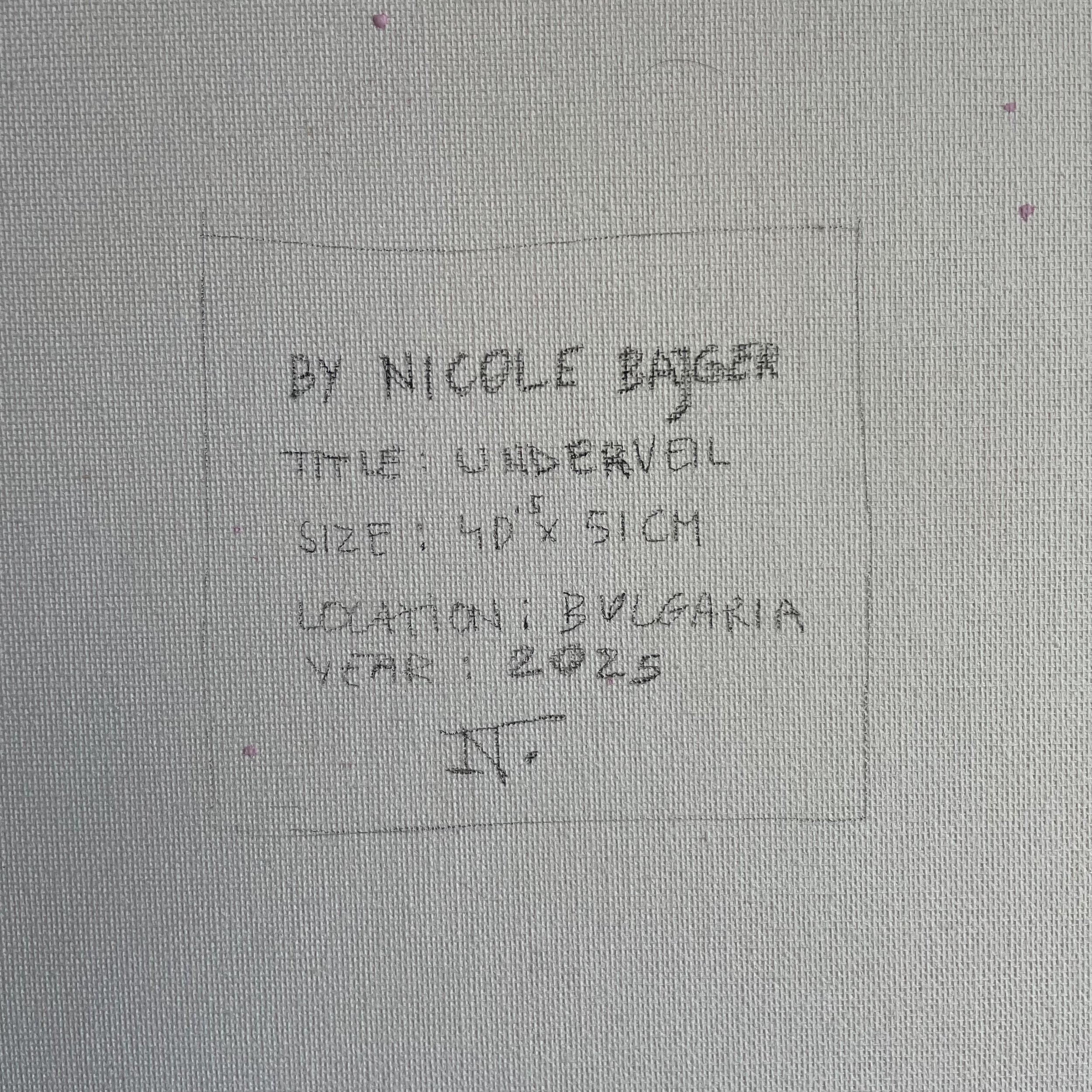 Verso of the canvas for "Underveil" by contemporary artist Nicole Bajger. Close-up of handwritten provenance, signature, and medium details on canvas.