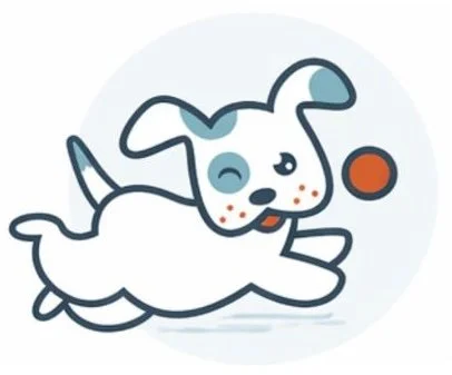 Dog daycare in Houston