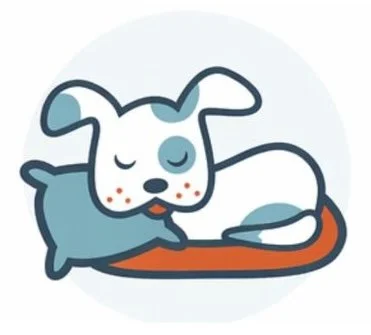 Dog boarding in Houston