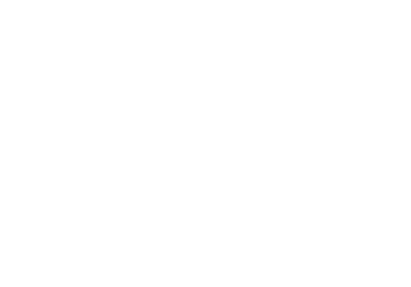 adidas.png