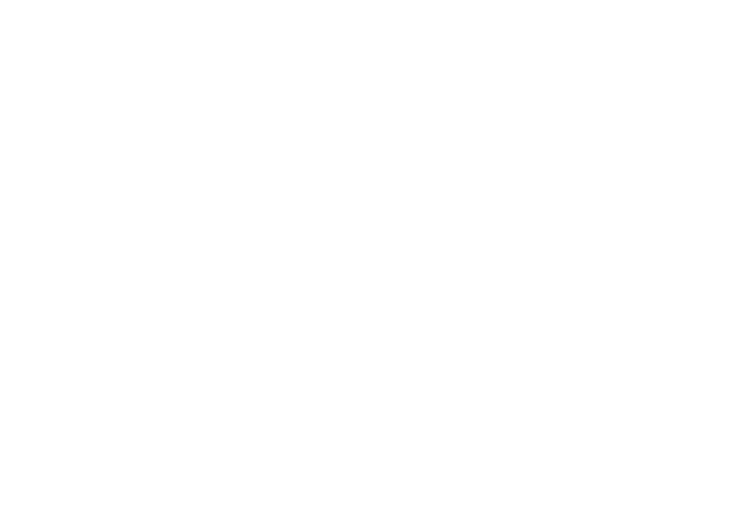 silhouette.png