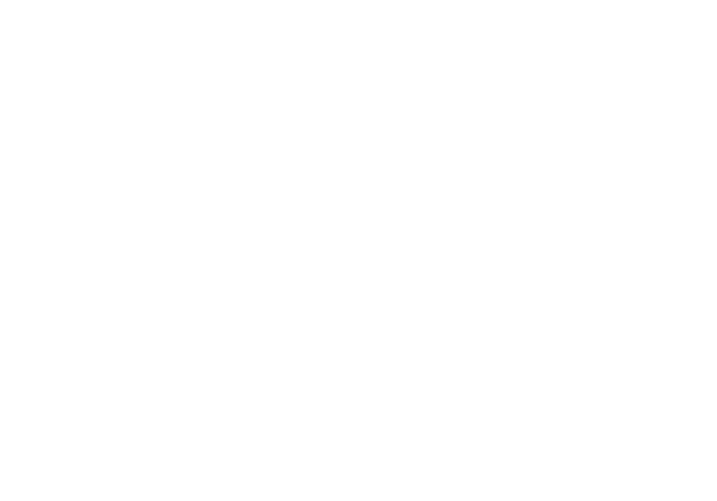 digistore.png