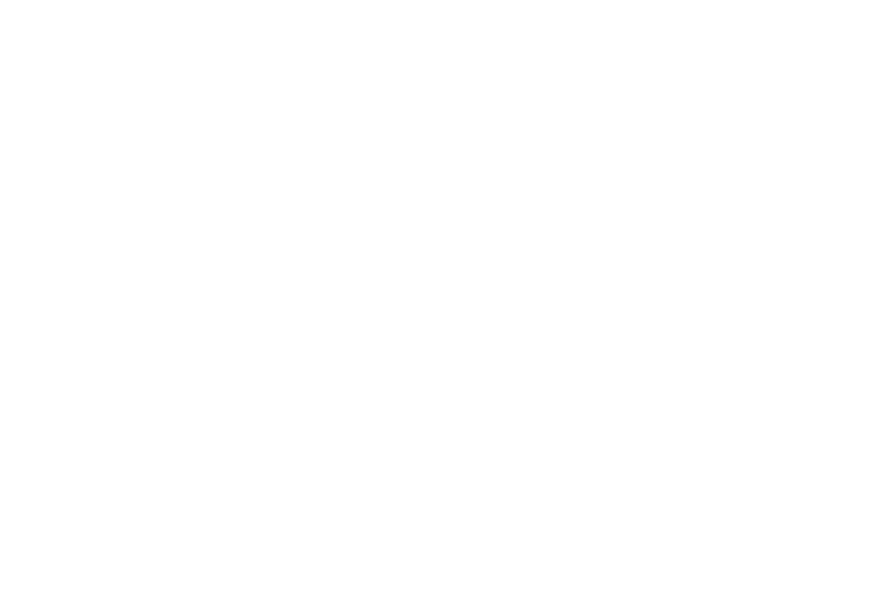 Audi.png