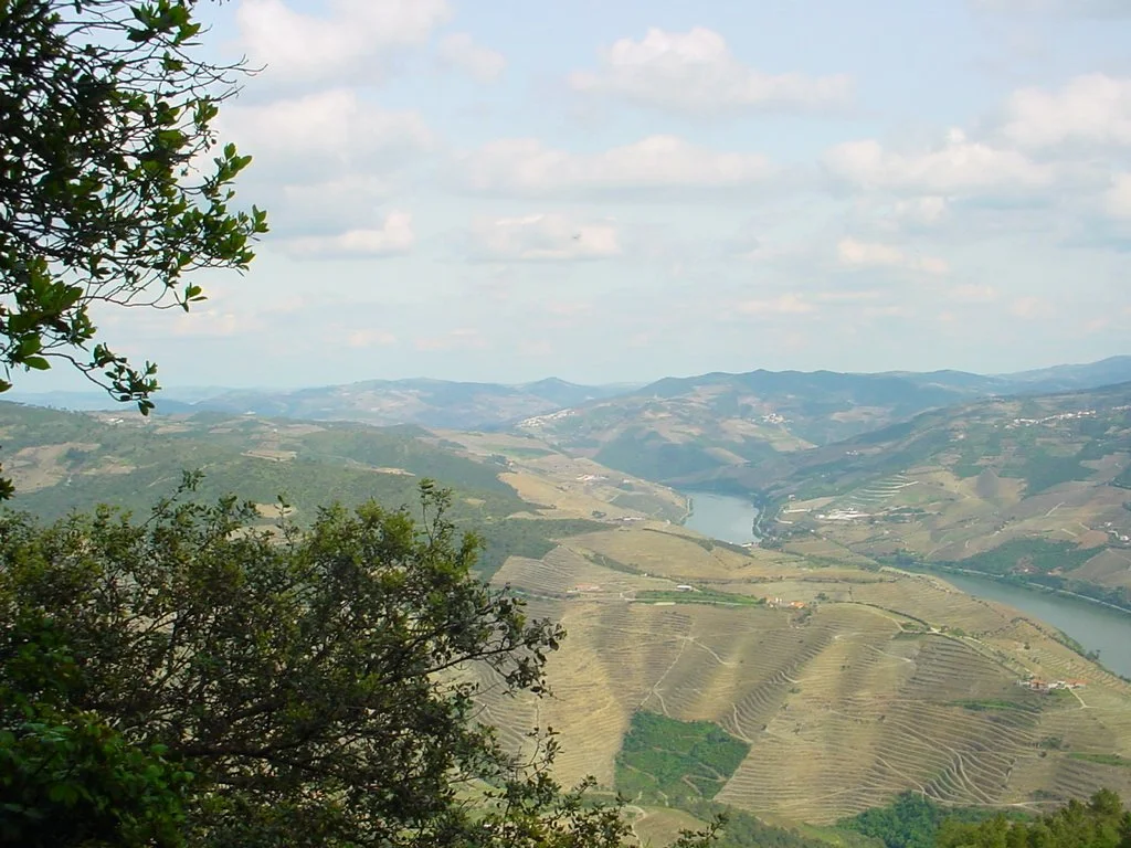 A view over the Douro Valley