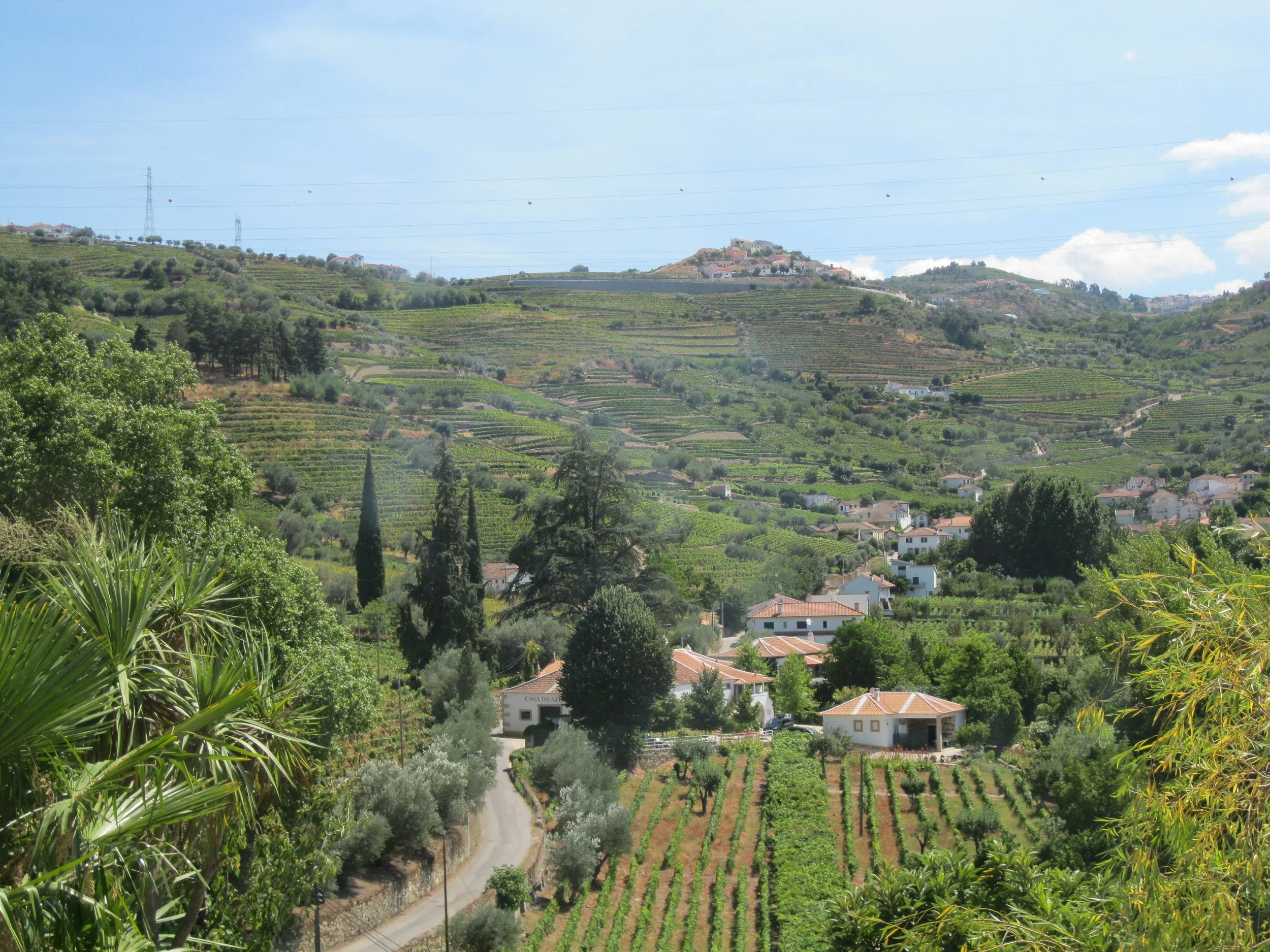 Quinta do Fôjo - another view towards Rio Bom