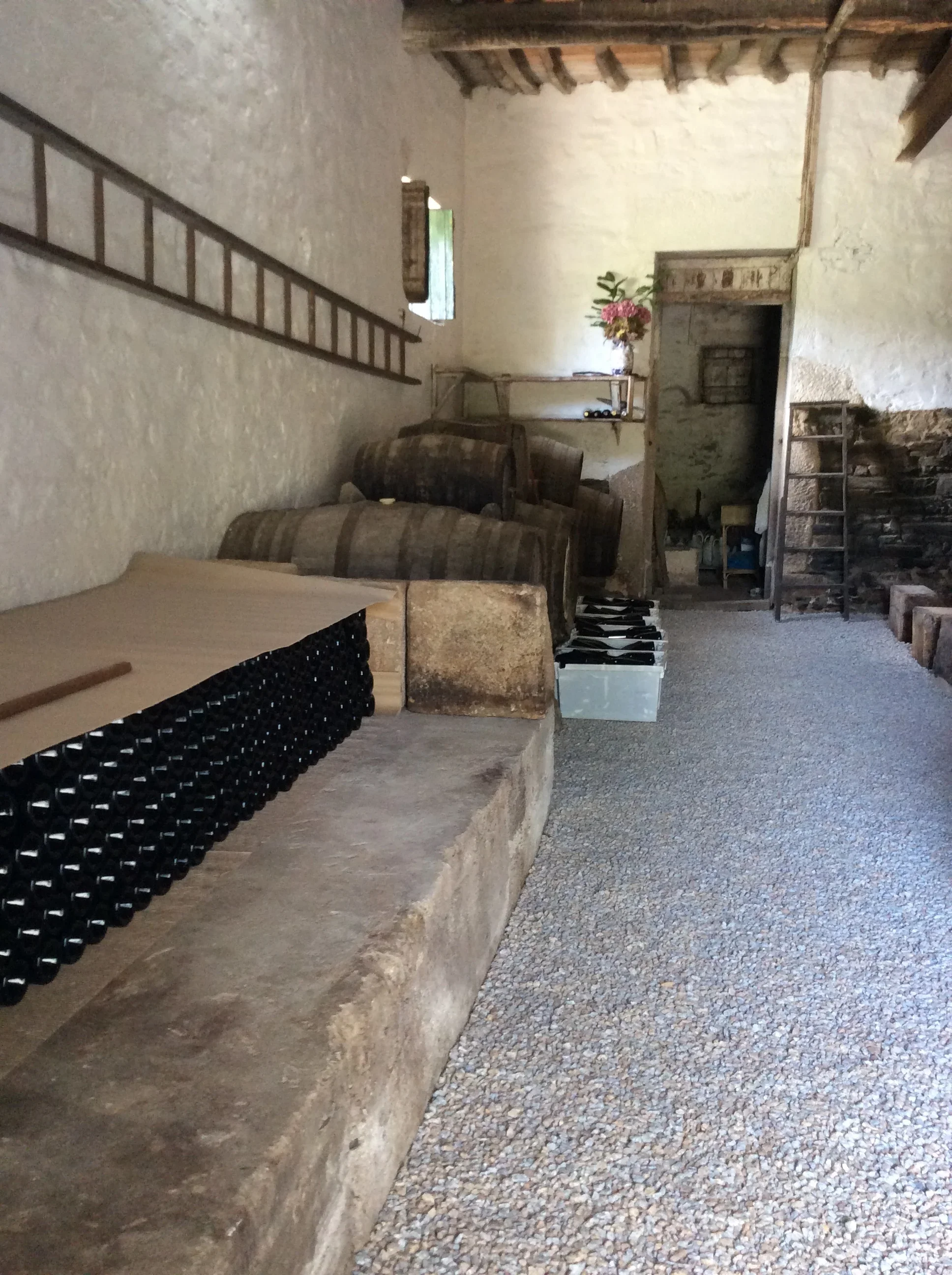 Quinta do Fôjo - wine storage in our cellars