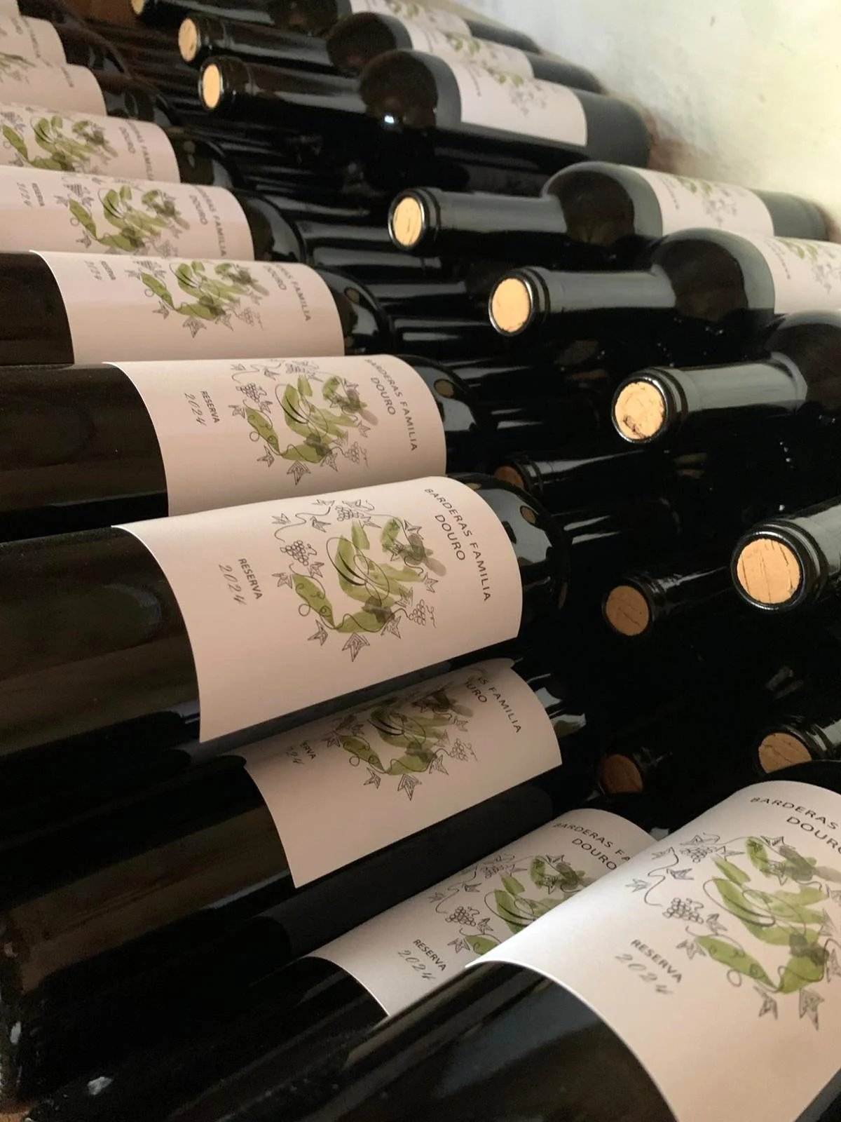 Barderas Familia 2024 Reserva Tinto 6.jpeg