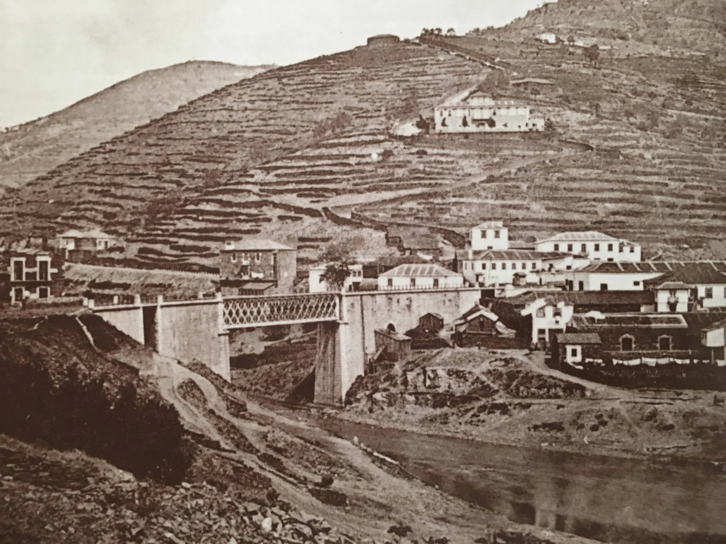 Pinão