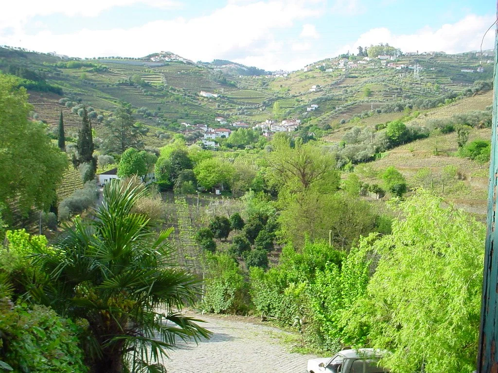 Quinta do Fôjo - a view towards our entrance