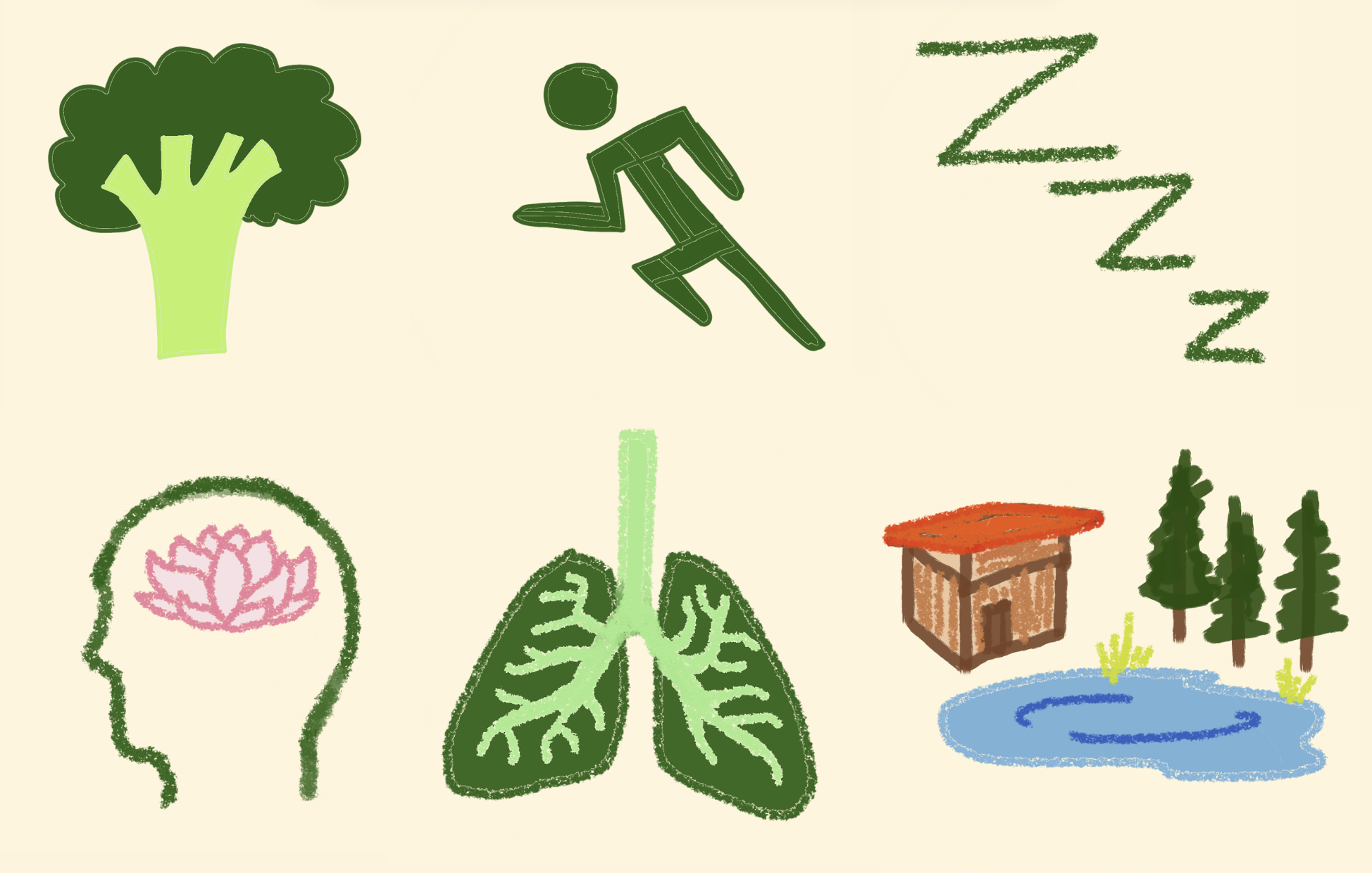 The Six Fundamentals Of Health