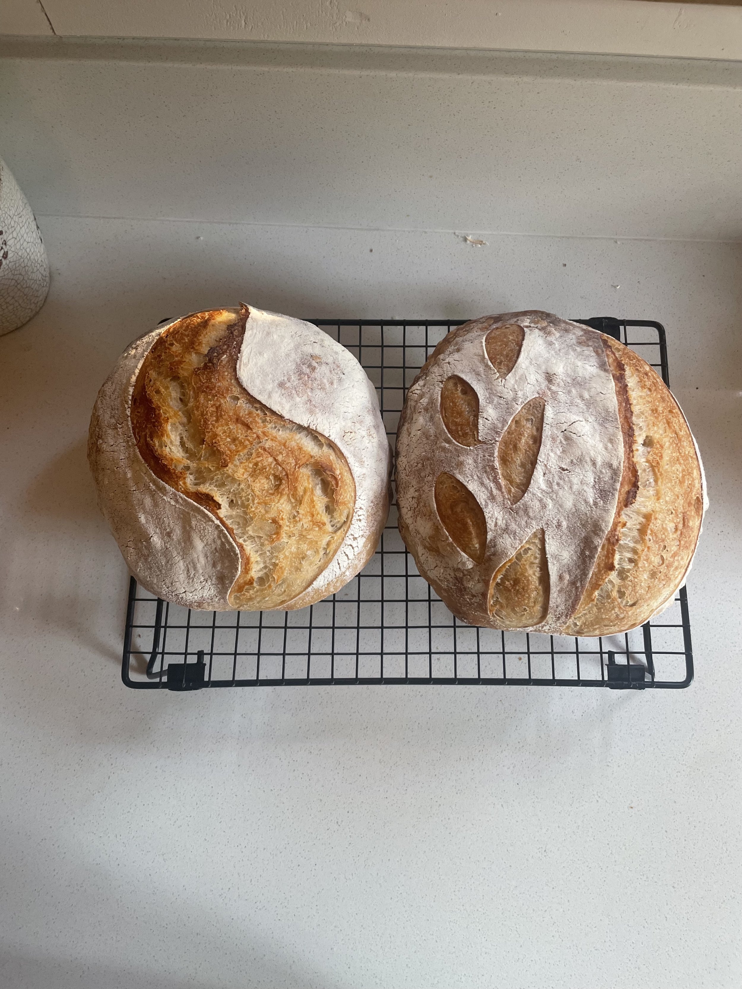What I Feed My 6 Kids Every Week (Simple, Repeatable Meals)