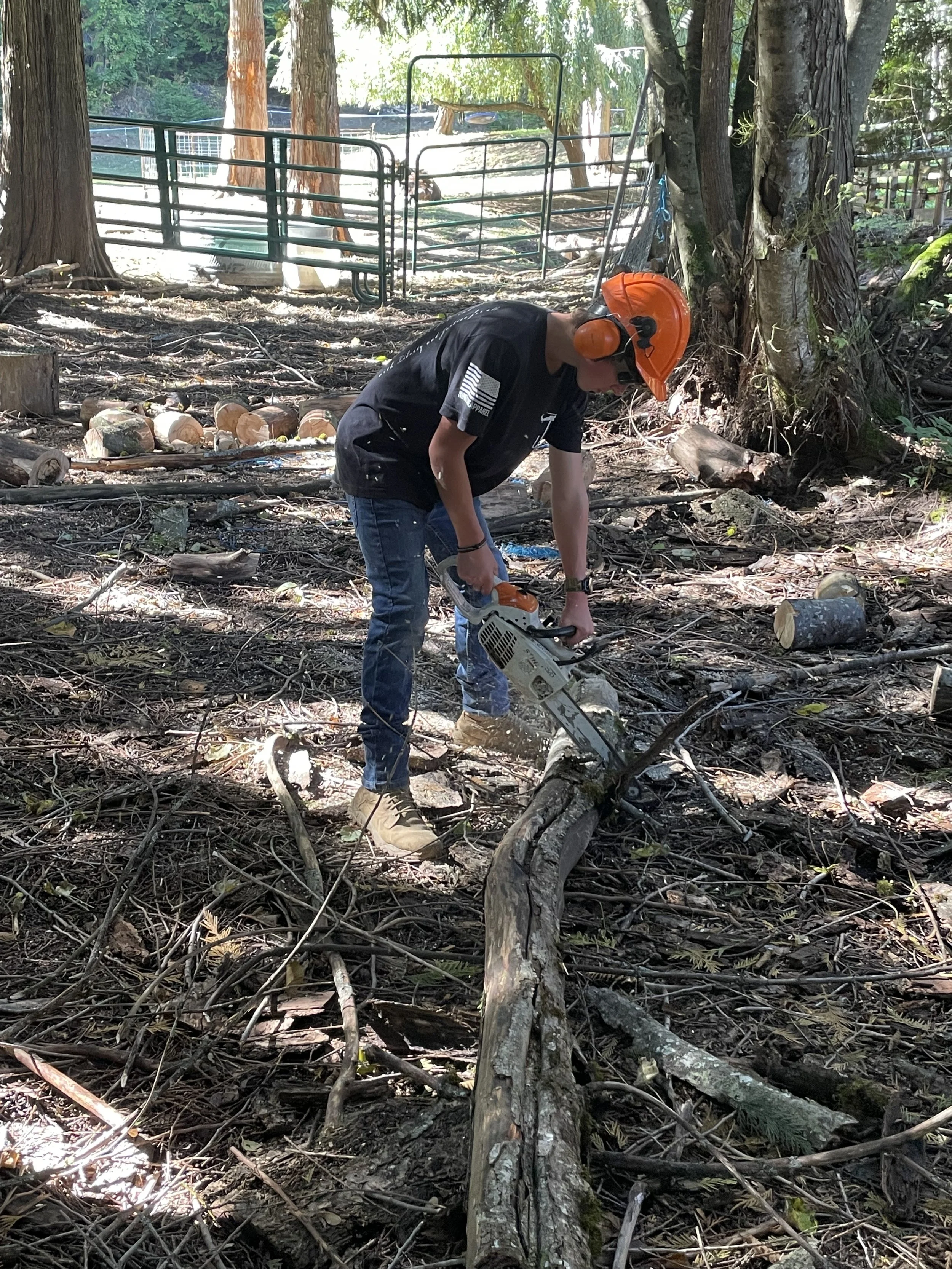 How to safely Fell a Tree: What we've learned living off-grid