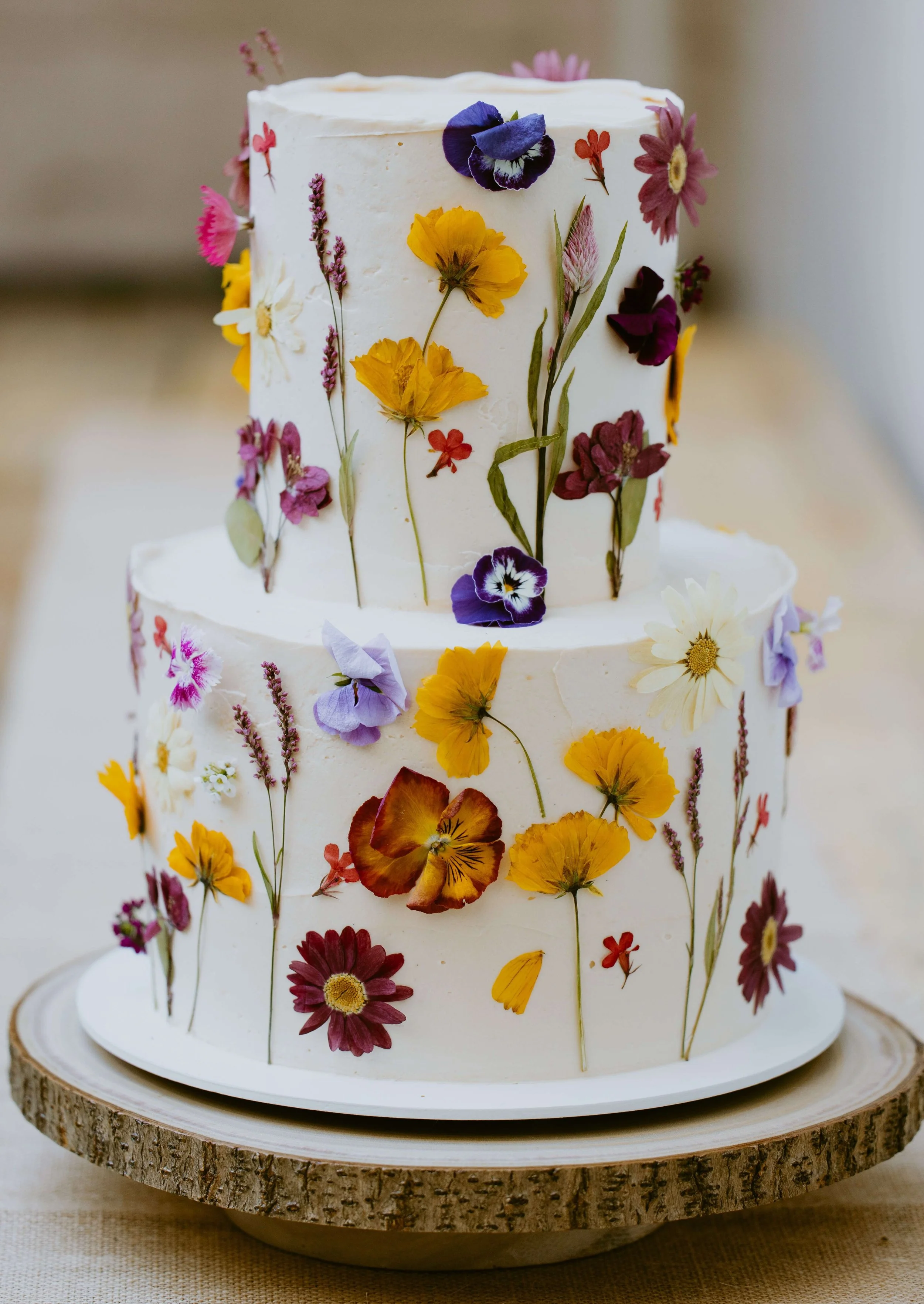 jill-and-ralph-santa-barbara-micro-wedding-julian-talib-photography-3393.jpeg