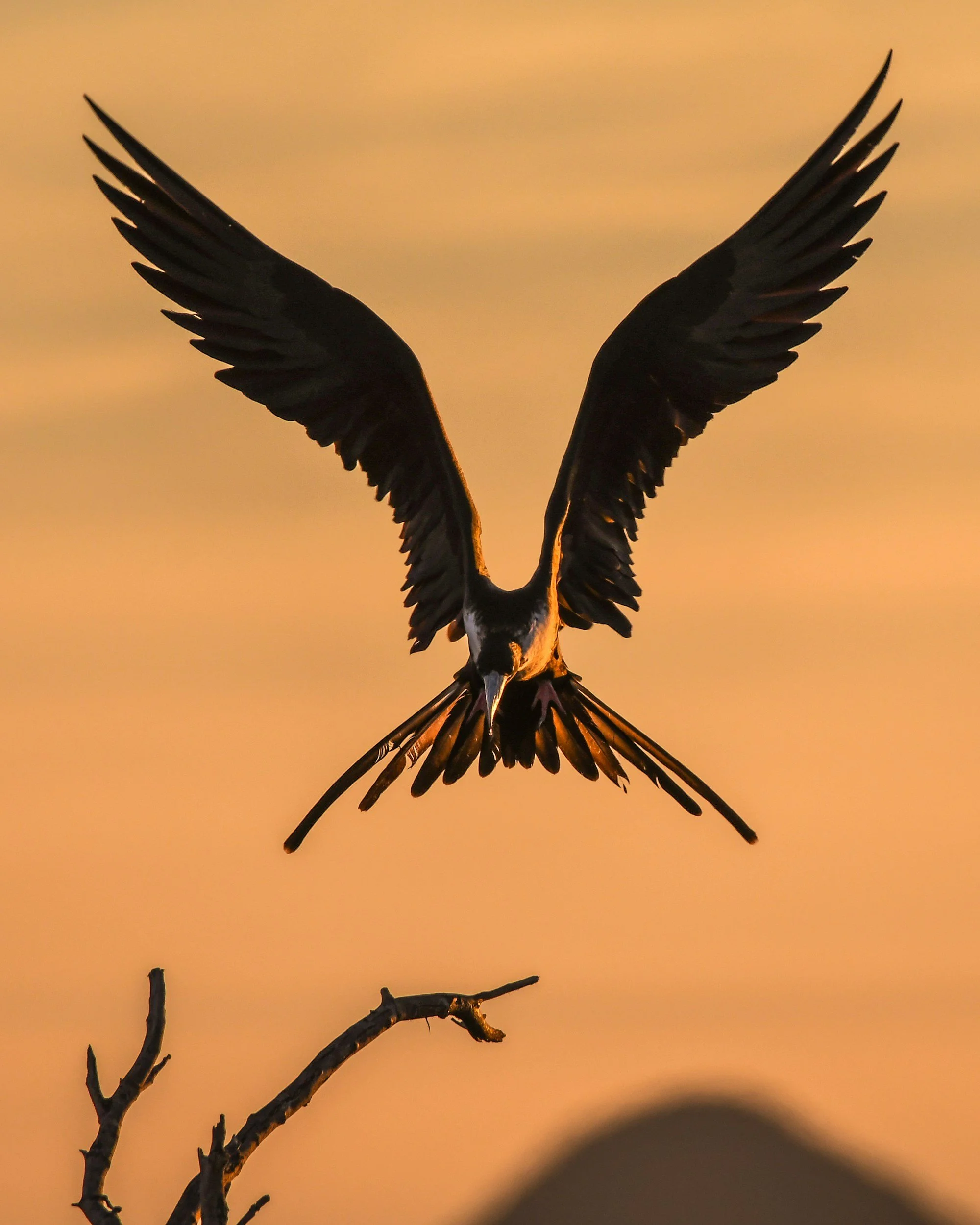 The End of “Winging It” in Lettings