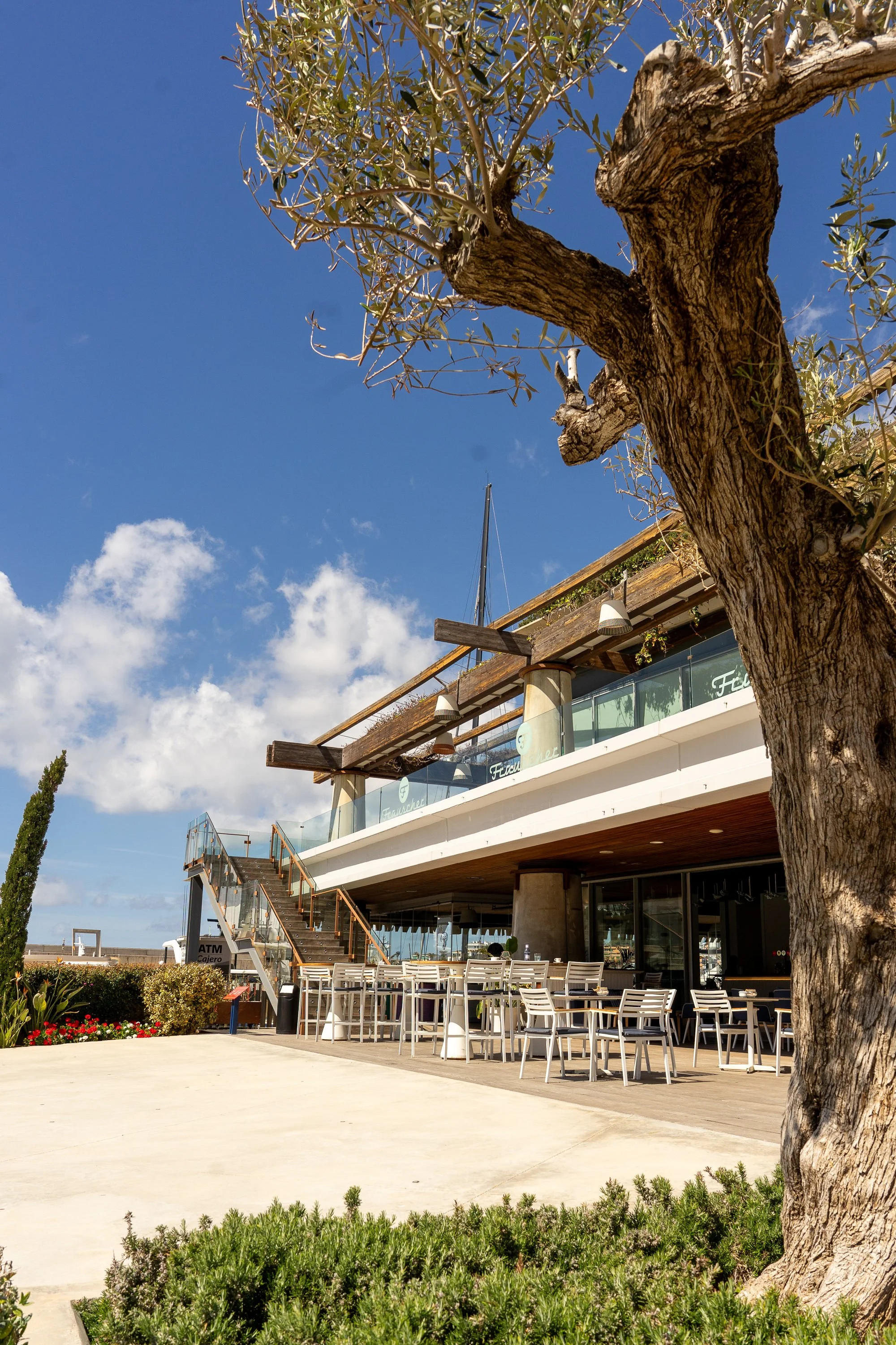 A modern two-story building with outdoor seating and a staircase, partially obscured by a large, textured tree with branches and leaves, under a bright blue sky with some clouds.