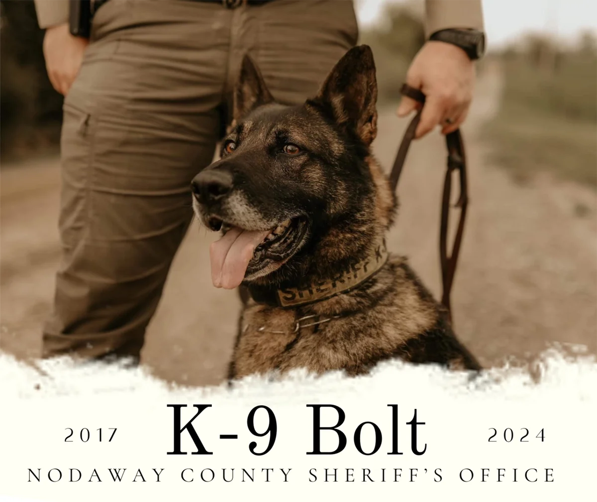 K-9 Bolt retired the spring of 2024 after 7 years of service to the Nodaway County Sheriff's Office. Bolt was partnered with Cpt. Austin Hann.