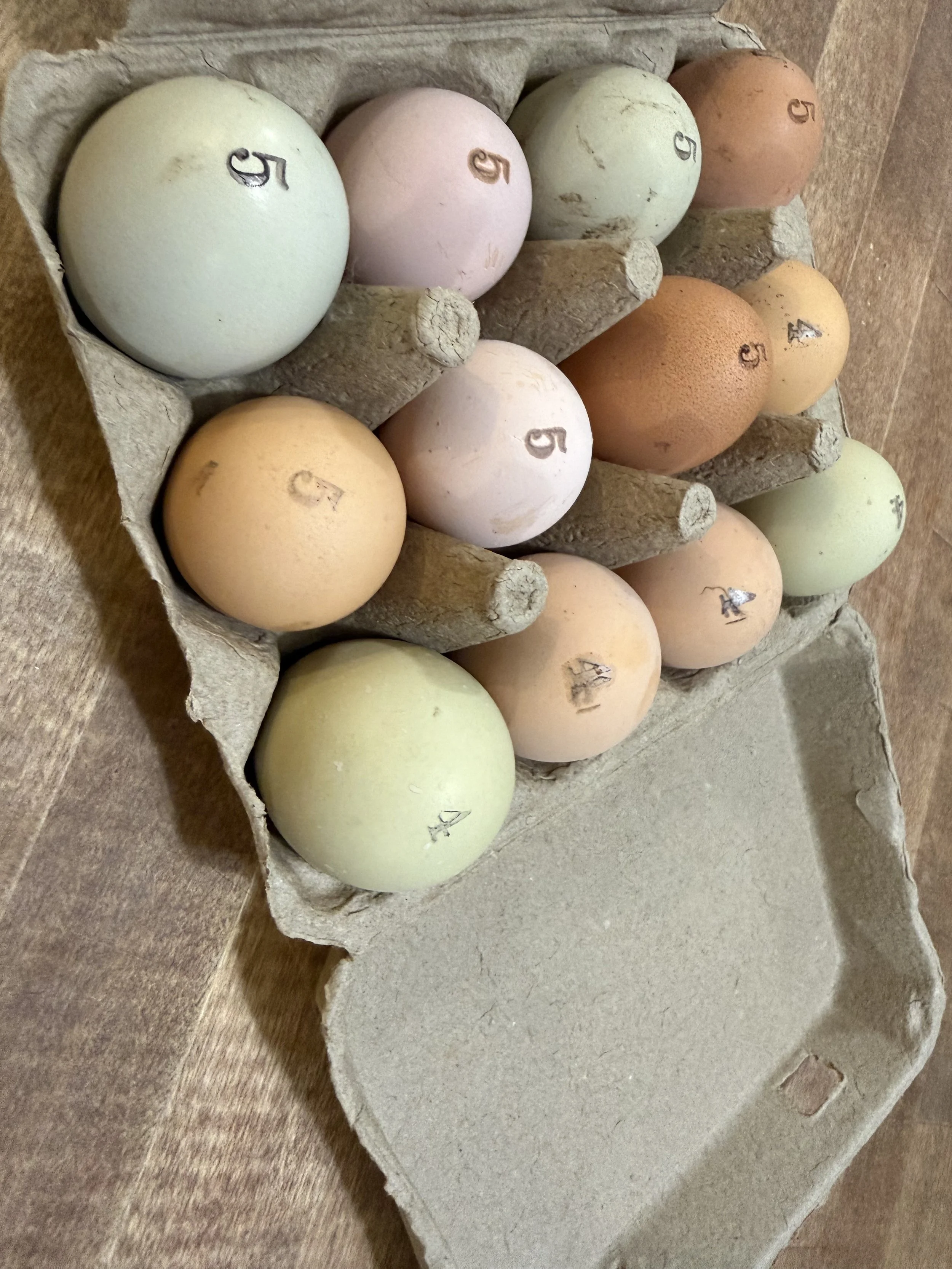 Dozen Eggs