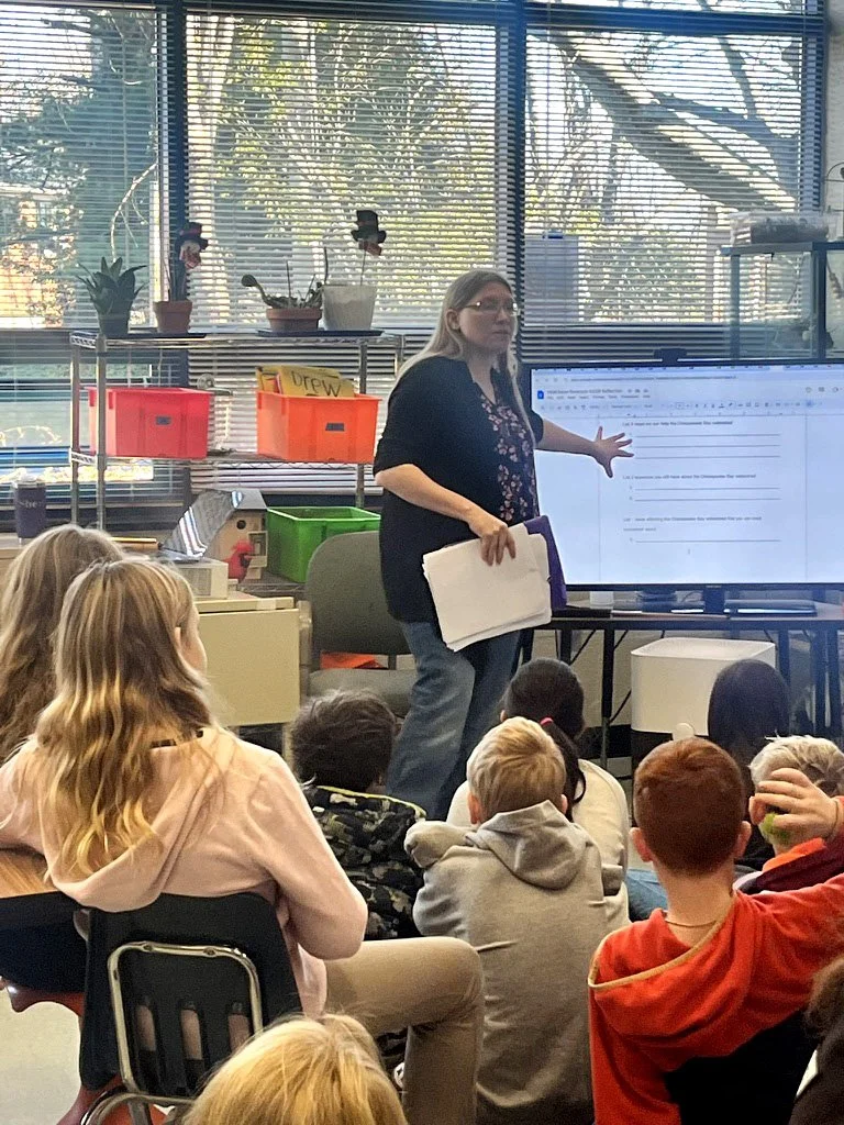 Teacher at the board