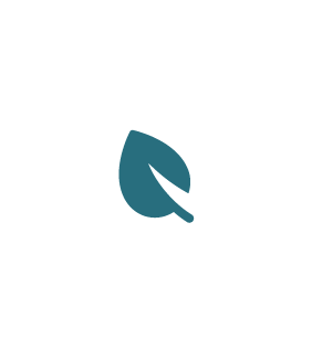 Lightbulb icon with a leaf inside, surrounded by radiating lines indicating ideas or innovation.