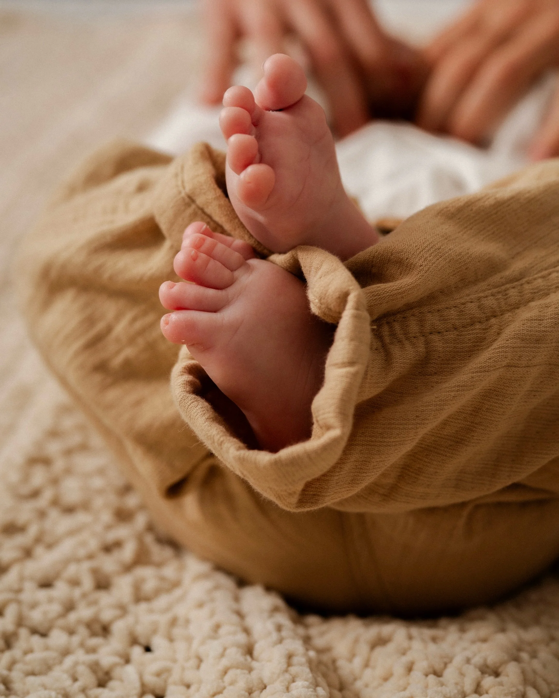 Des d&eacute;tails dont tu voudras te souvenir toute ta vie 🤎

Ses petits pieds, oreilles, mains, bourrelets si mignons ✨

Tout &ccedil;a fait int&eacute;gralement partie du shooting naissance et bien plus encore 🫶🏻 

Qu&rsquo;attends-tu pour r&ea