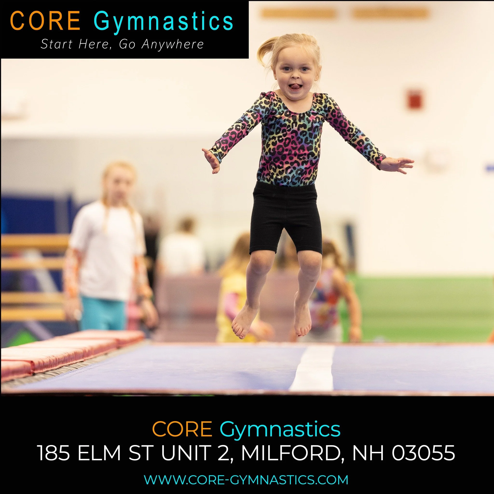 READY for Week 3 of Summer!!!

https://portal.iclasspro.com/coregymnastics/dashboard