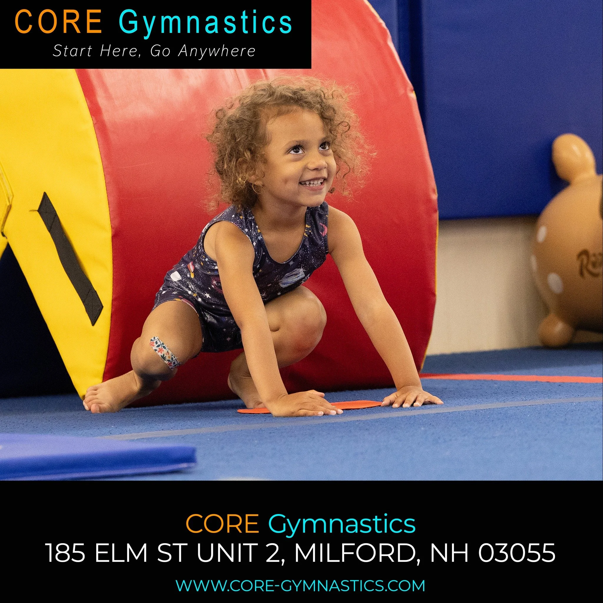 HAPPY Weekend!!!! 

https://portal.iclasspro.com/coregymnastics/dashboard