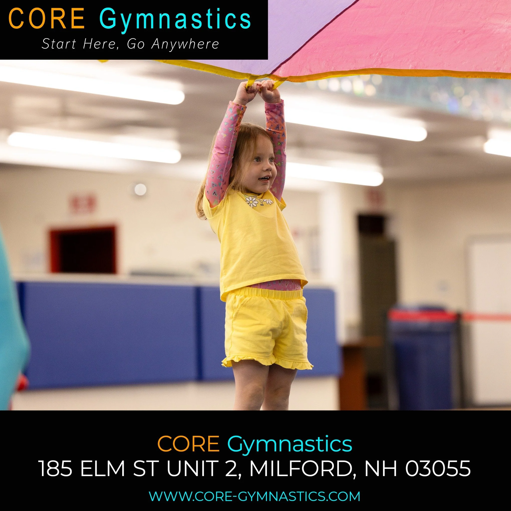 https://portal.iclasspro.com/coregymnastics/dashboard
#coregymnastics  #gymnasticsnh #summercamp #milfordnh