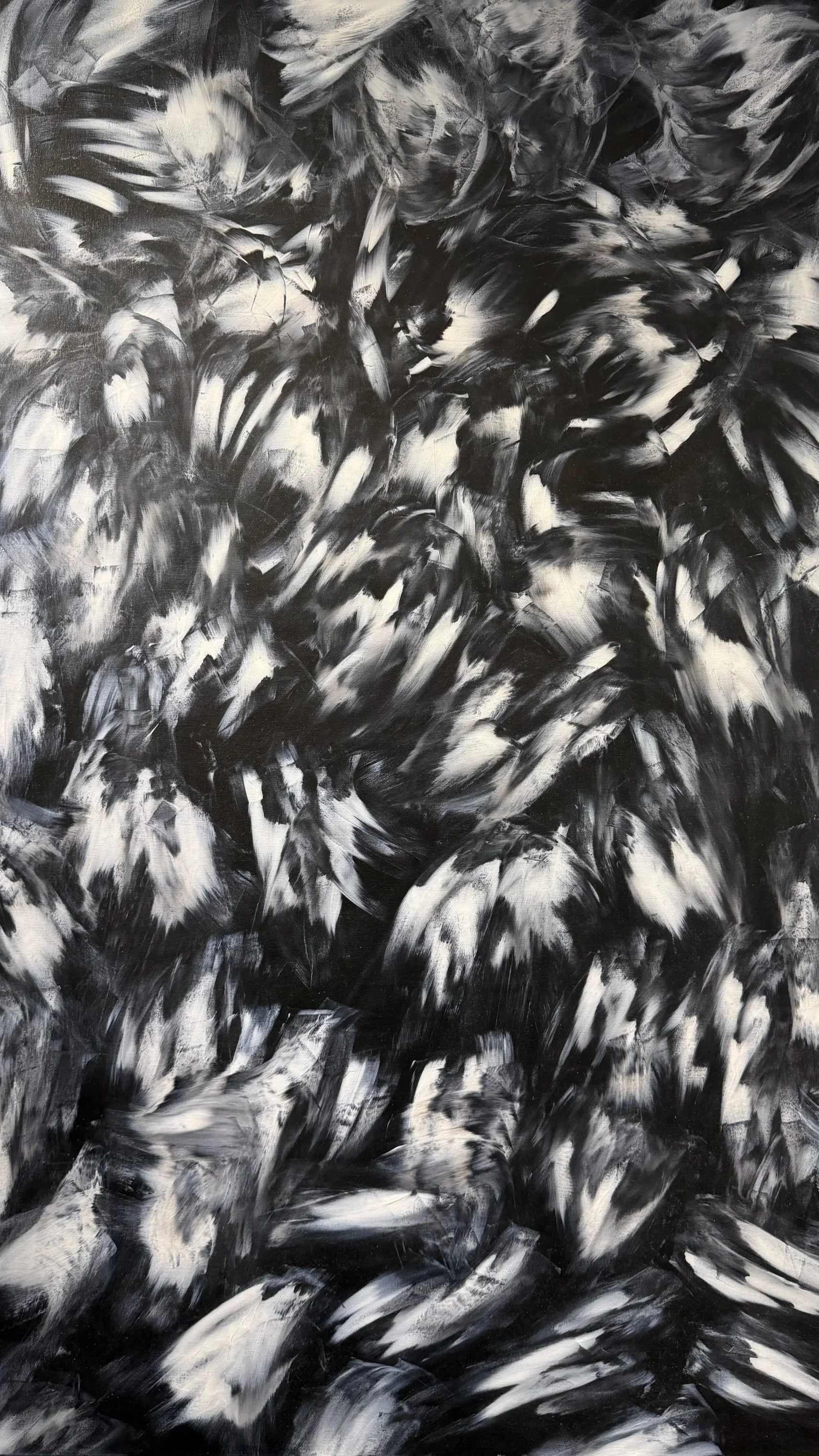 'Feathers' by Gary Hartmann, 2009, acrylic on canvas, 30"x48"