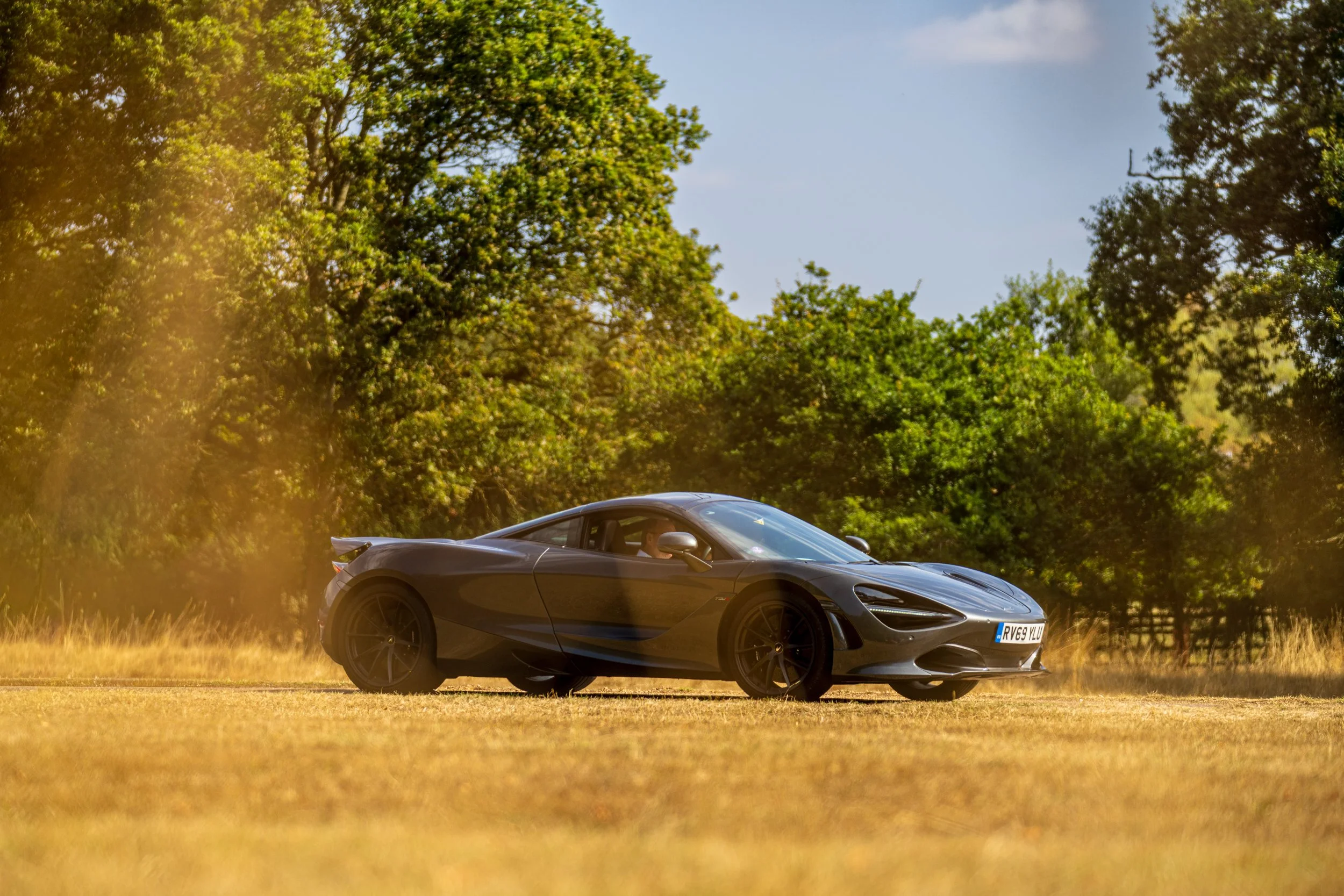 A dark gray sports car with the license plate 'RVE9 YLU' parked on a patch of grass, with green trees and a blue sky with some clouds in the background.