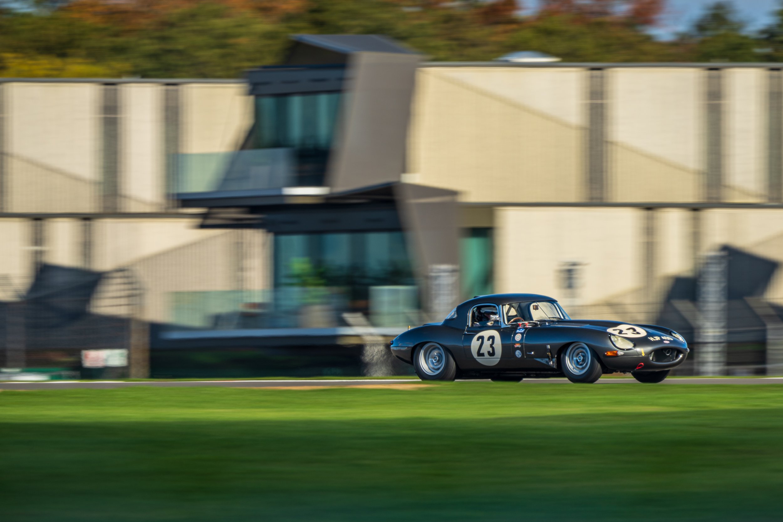Two blue classic single-seaters racing at Silverstone, framed by circuit buildings.