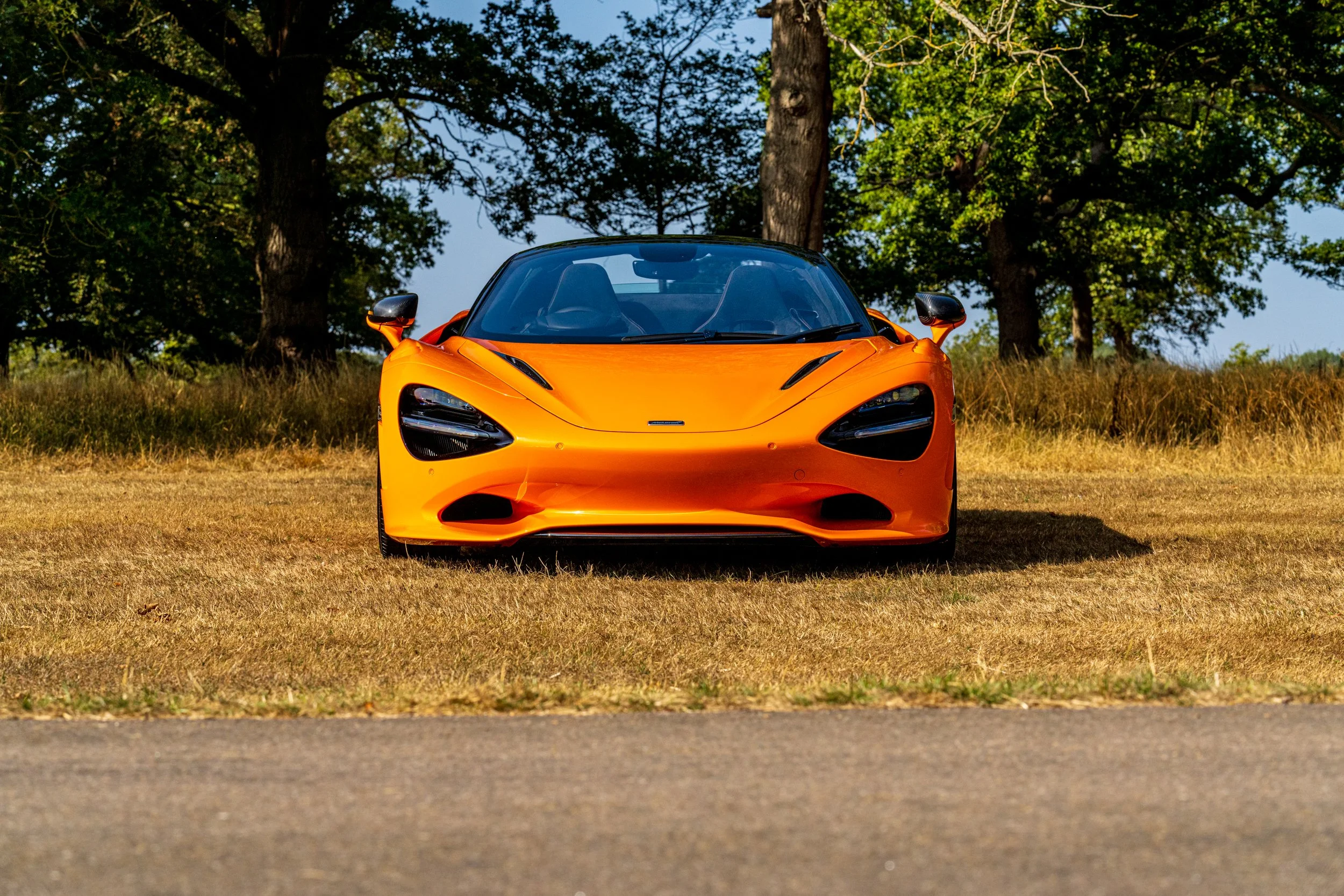 An orange sports car parked on grass with trees in the background.