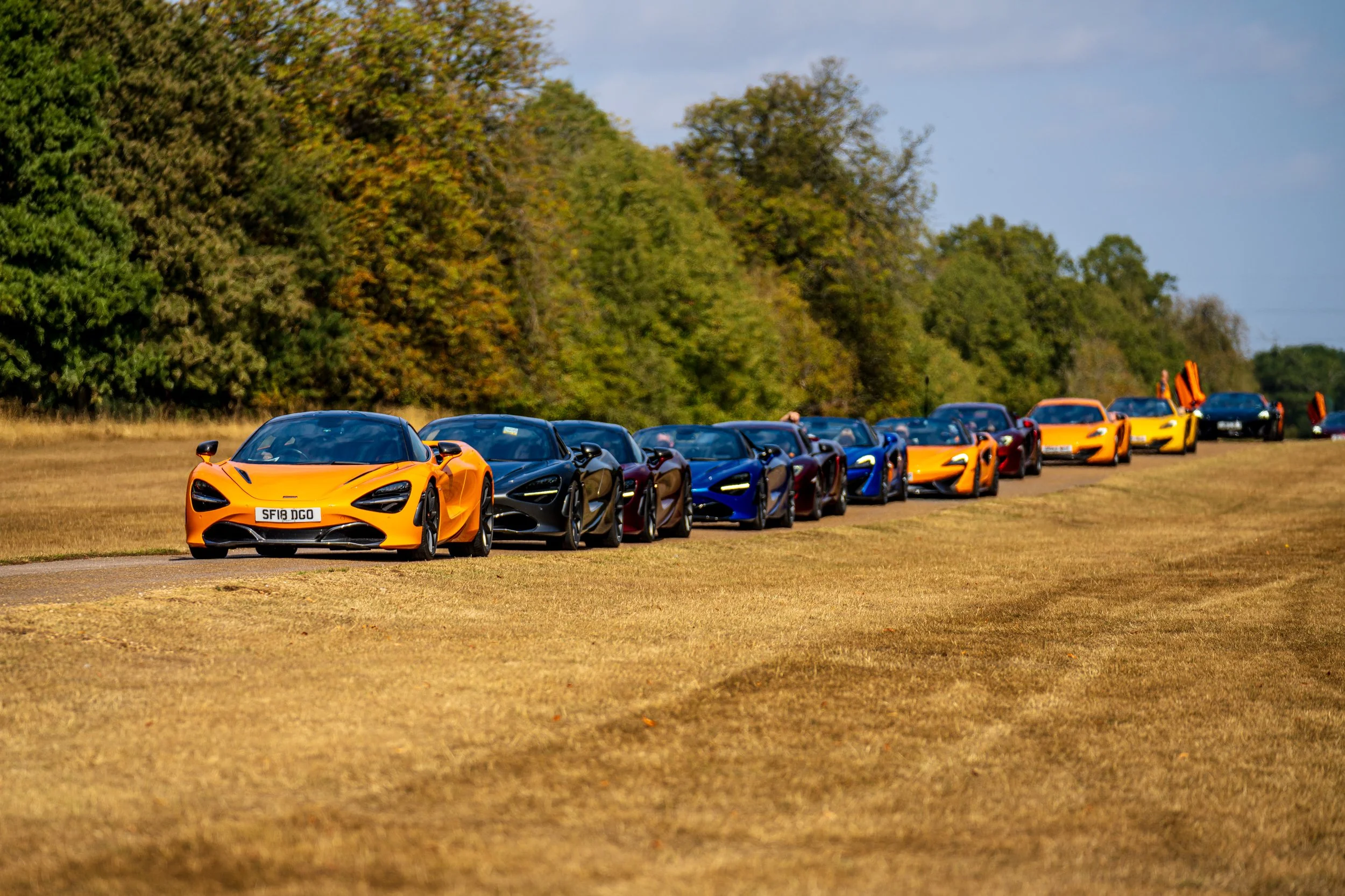 Line of colorful luxury sports cars parked on a grassy field with autumn trees and a blue sky in the background.