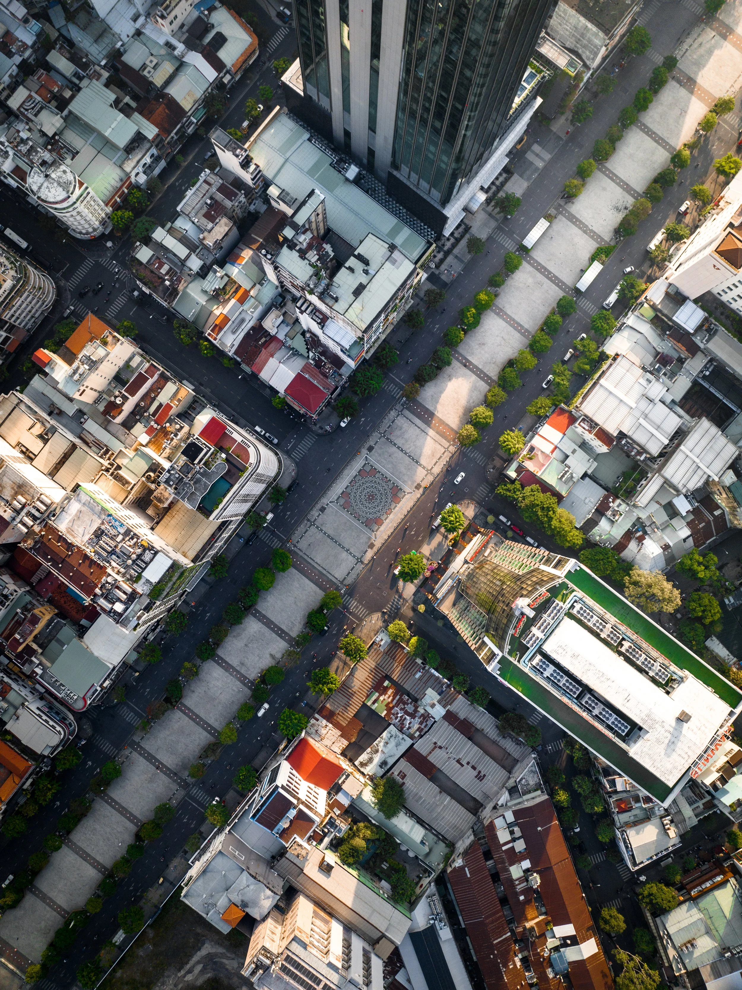 An aerial view of a city street with tall buildings, trees lining the sidewalks, and crosswalks at intersections.