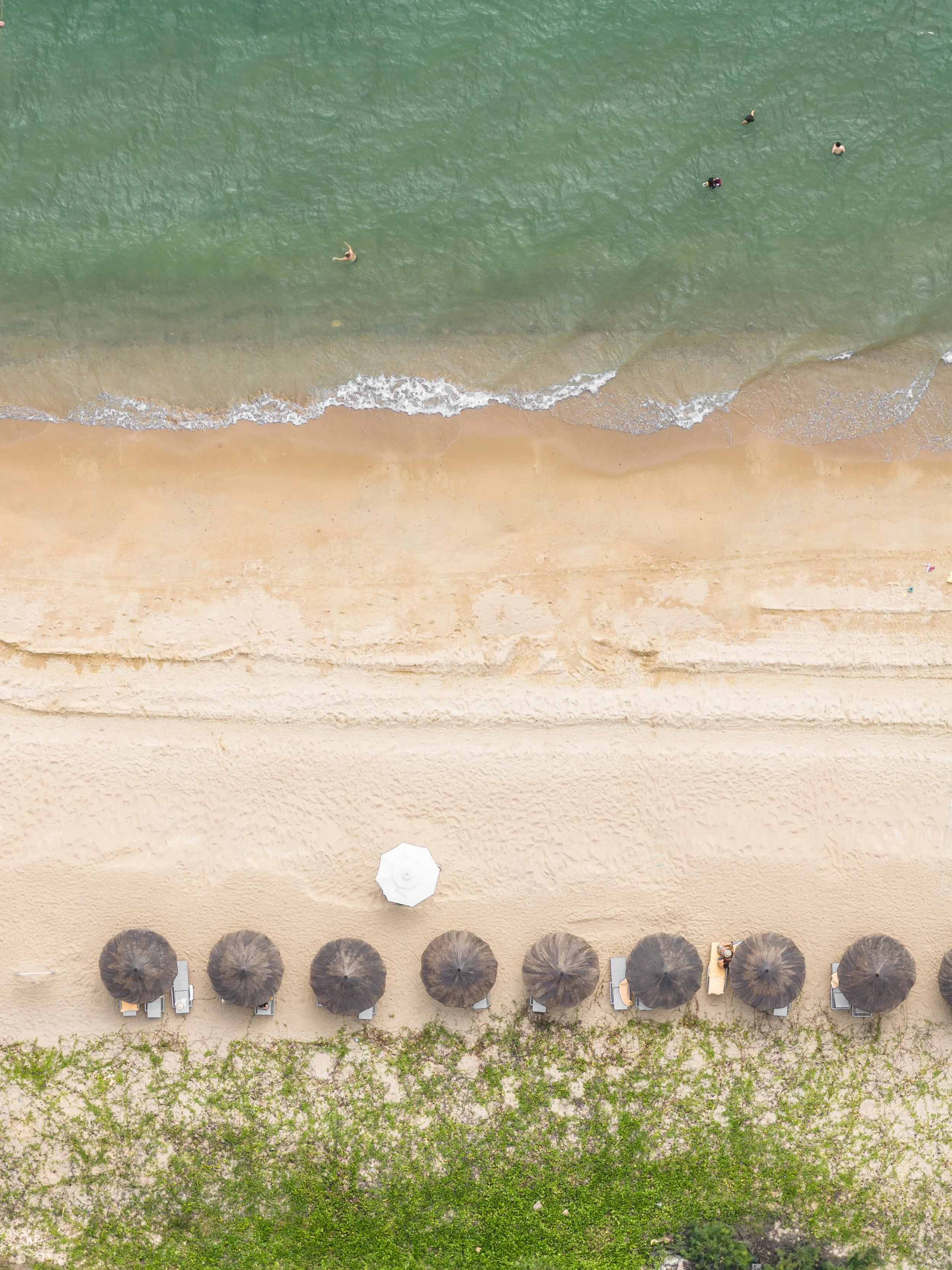An aerial view of a sandy beach with a row of six beach umbrellas and lounge chairs. The beach is adjacent to a retaining wall with some vegetation and a walkway, and beyond that is the ocean with a few people swimming and surfboarding.