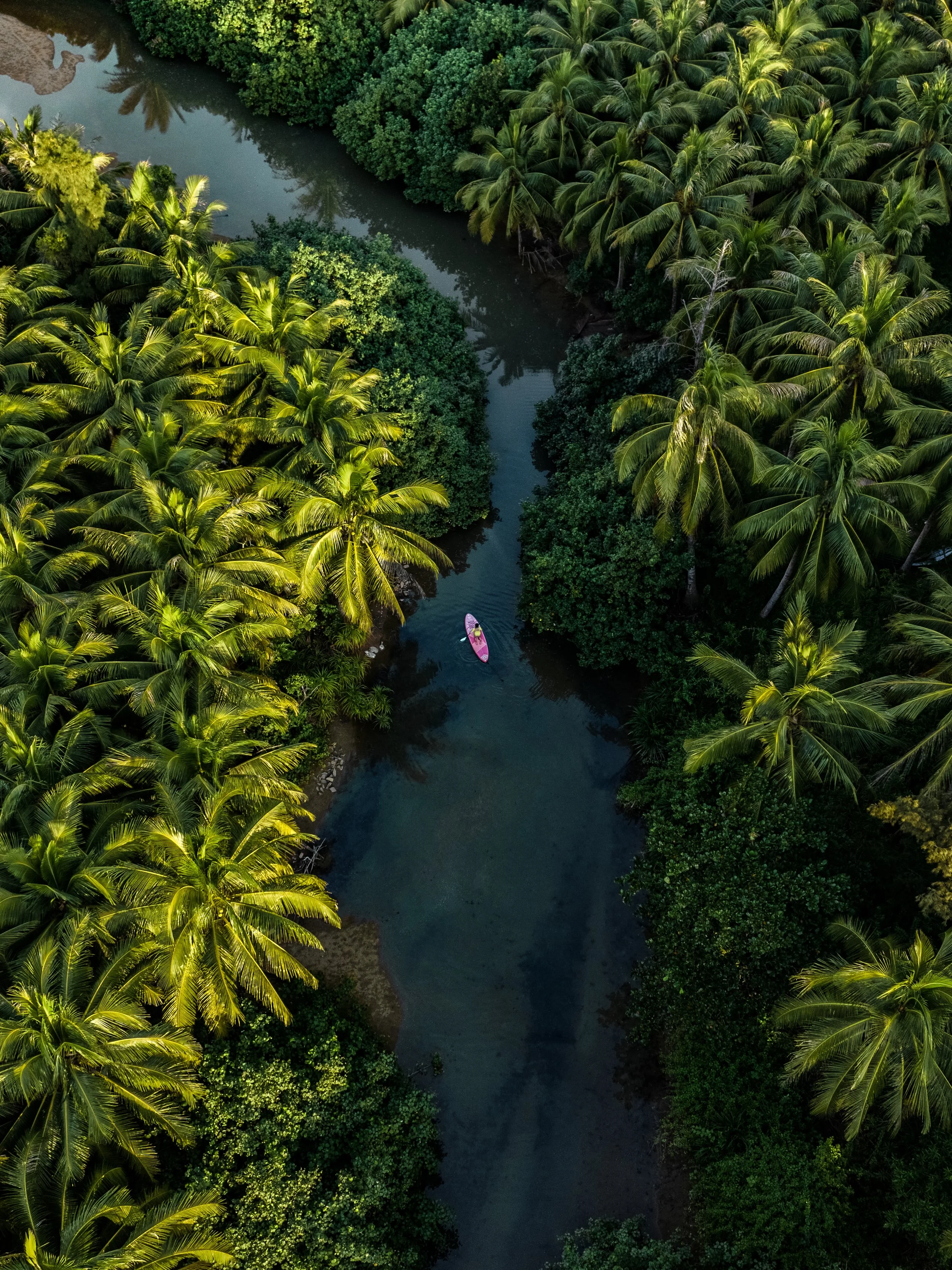 Aerial view of a narrow river winding through dense tropical jungle with tall palm trees and lush greenery on both sides, and a person in a pink kayak paddling down the river.
