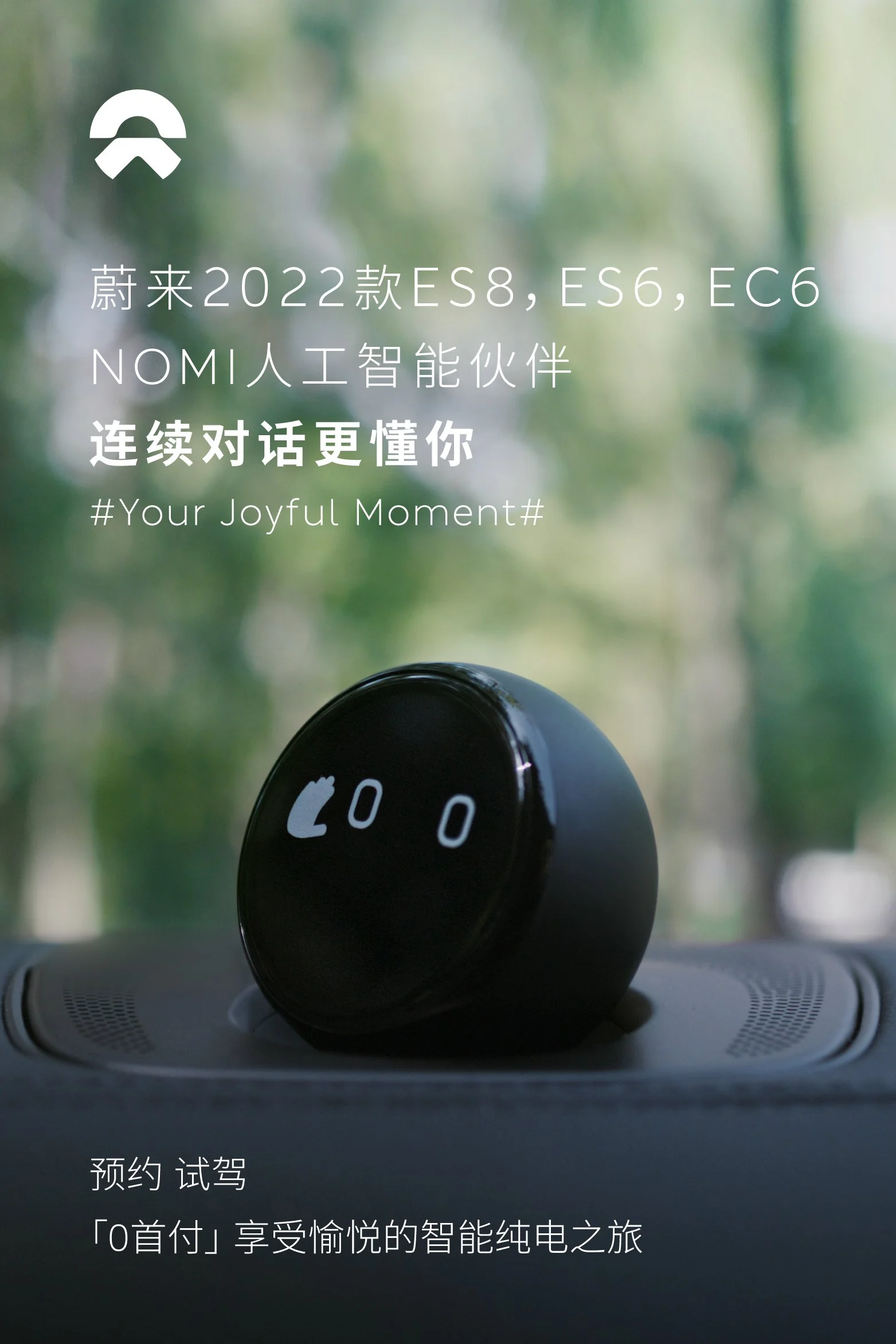Nomi Voice Assistant