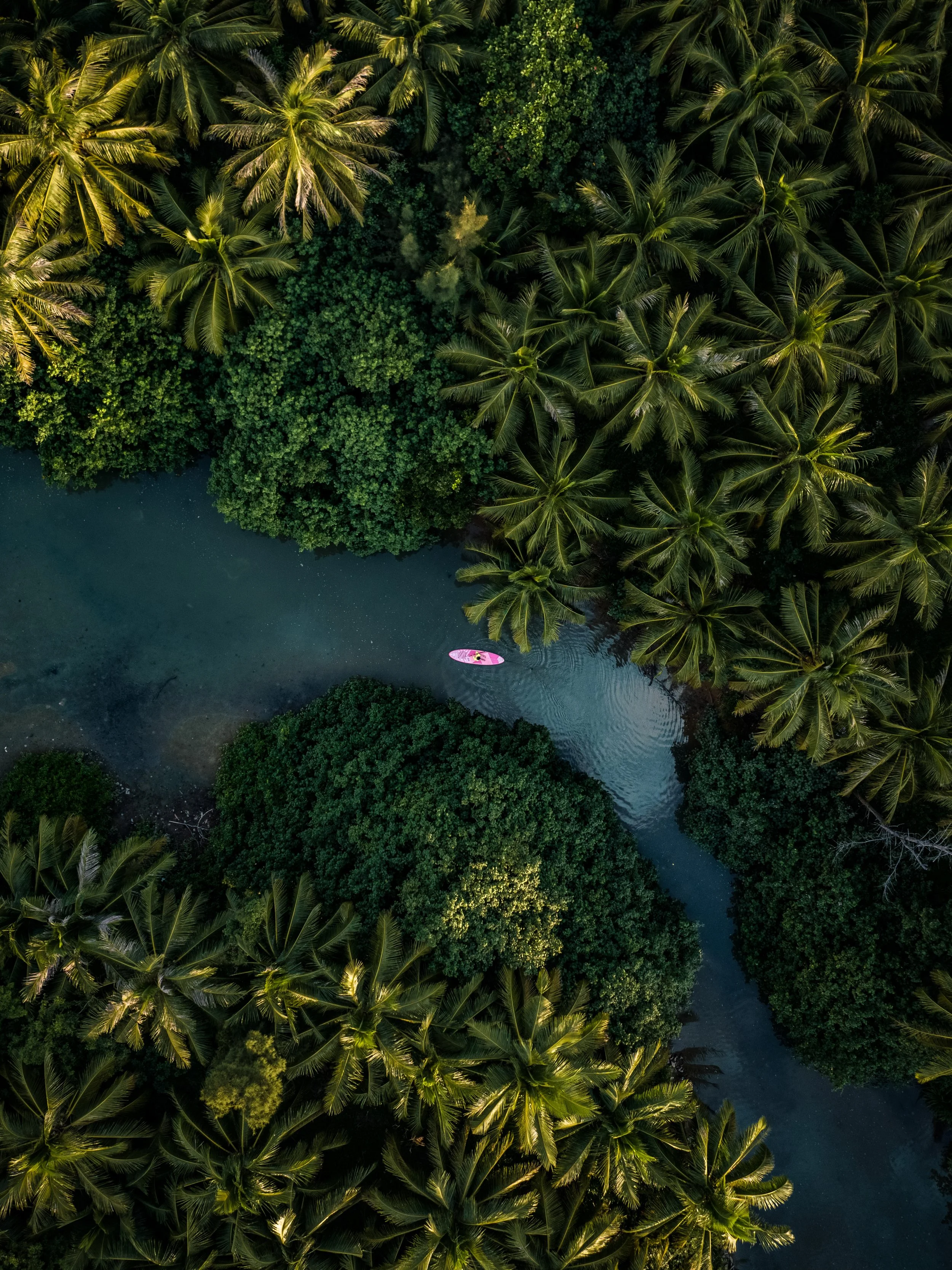 An aerial view of a river running through a dense jungle with numerous palm trees and green foliage, and a person paddling a pink kayak in the water.