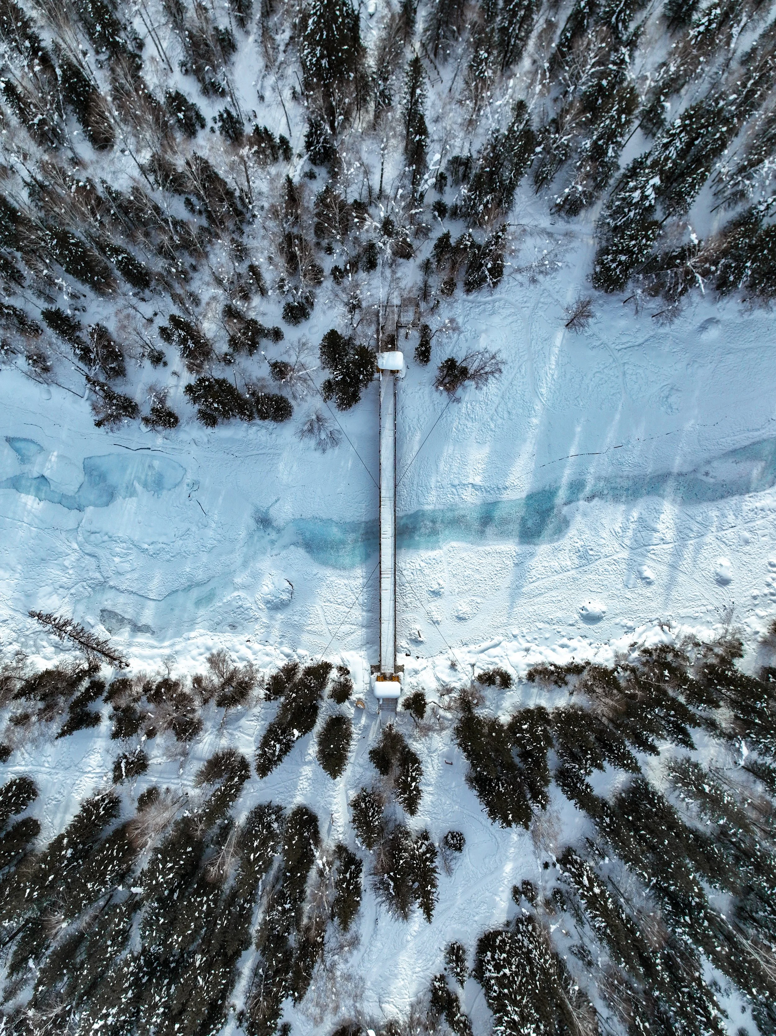 Aerial view of a snow-covered landscape with a long wooden walkway running through a densely wooded forest with both evergreen and deciduous trees.