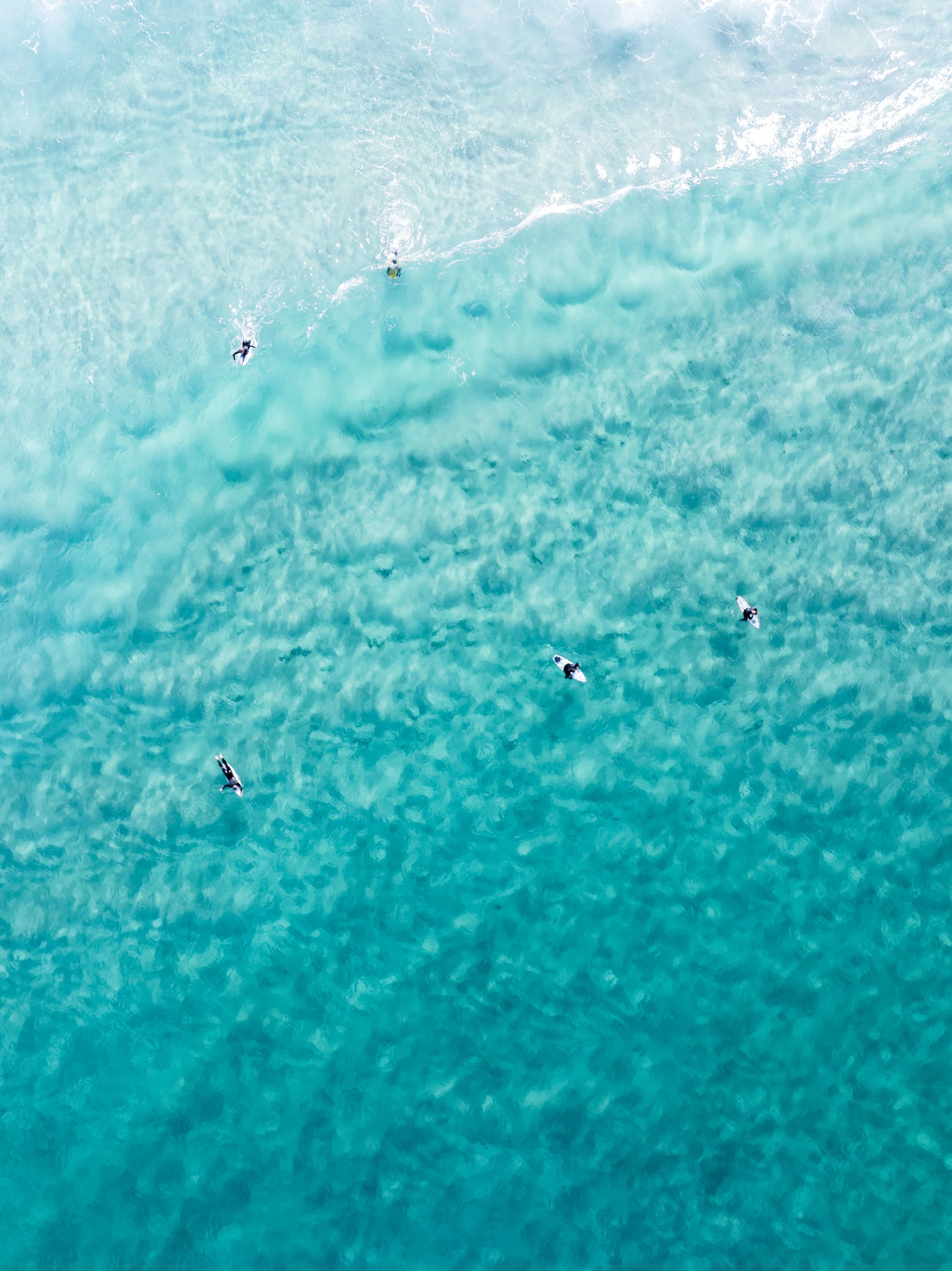 Aerial view of a turquoise ocean with six small Dolphins swimming.