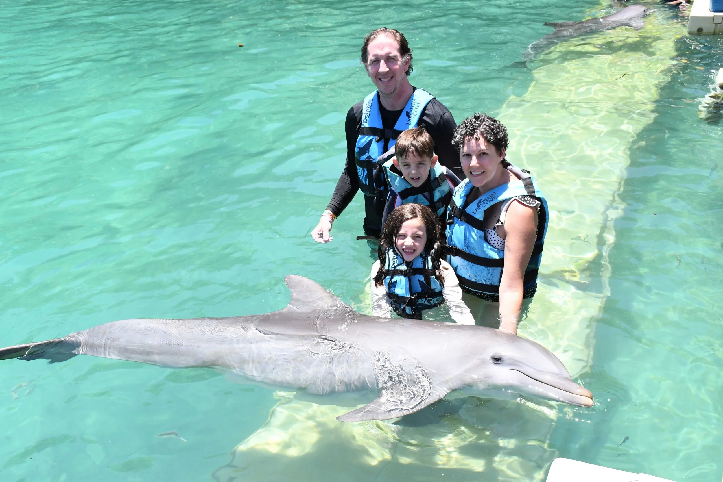 Four people, including a man, a woman, and two children, are standing in clear water with a dolphin, on a sunny day at an ocean or poolside location.