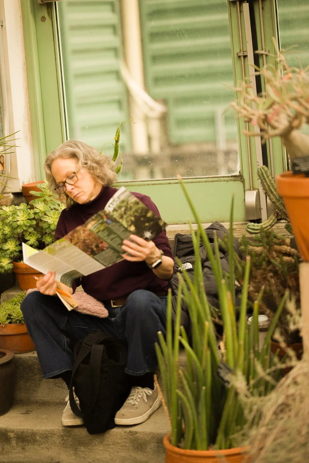 A woman sitting on steps inside a greenhouse, reading a brochure surrounded by various potted succulent and cactus plants.