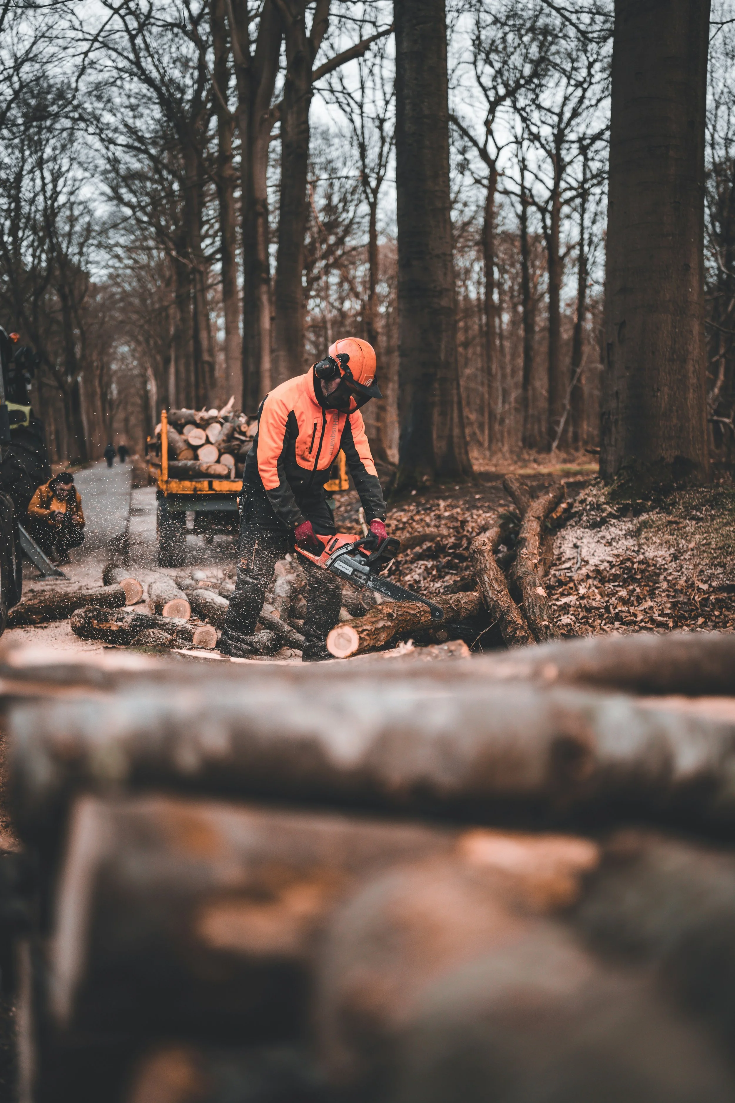 Wood being cut by gentleman in safety gear