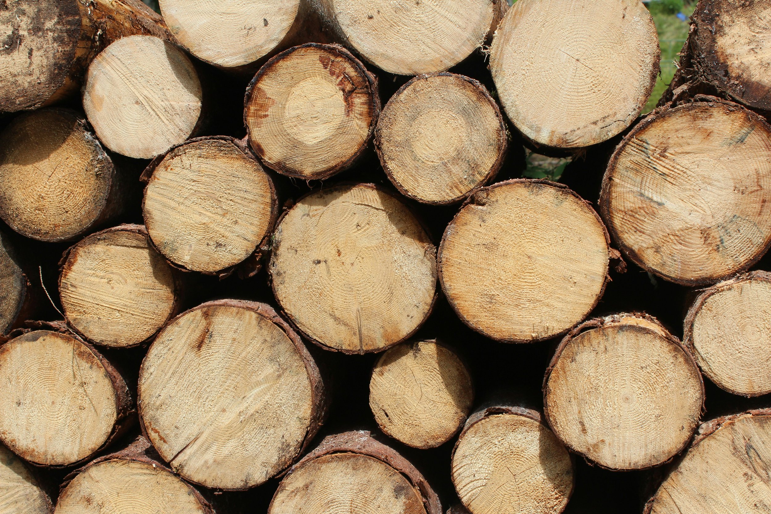 Firewood