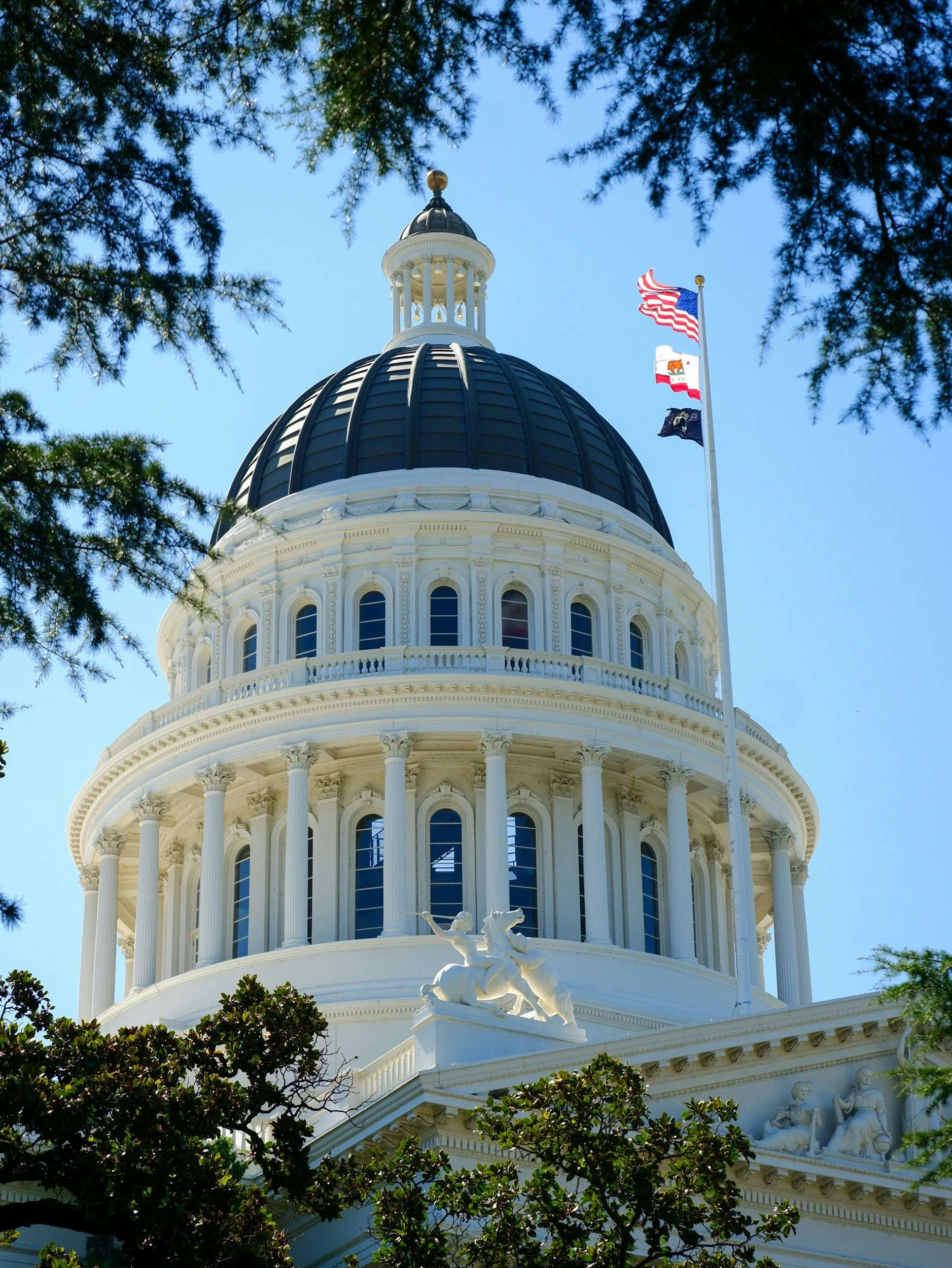 The image shows the top part of the California State Capitol building with a dome, surrounded by trees and a clear blue sky. The American flag and the California state flag are flying on flagpoles nearby.