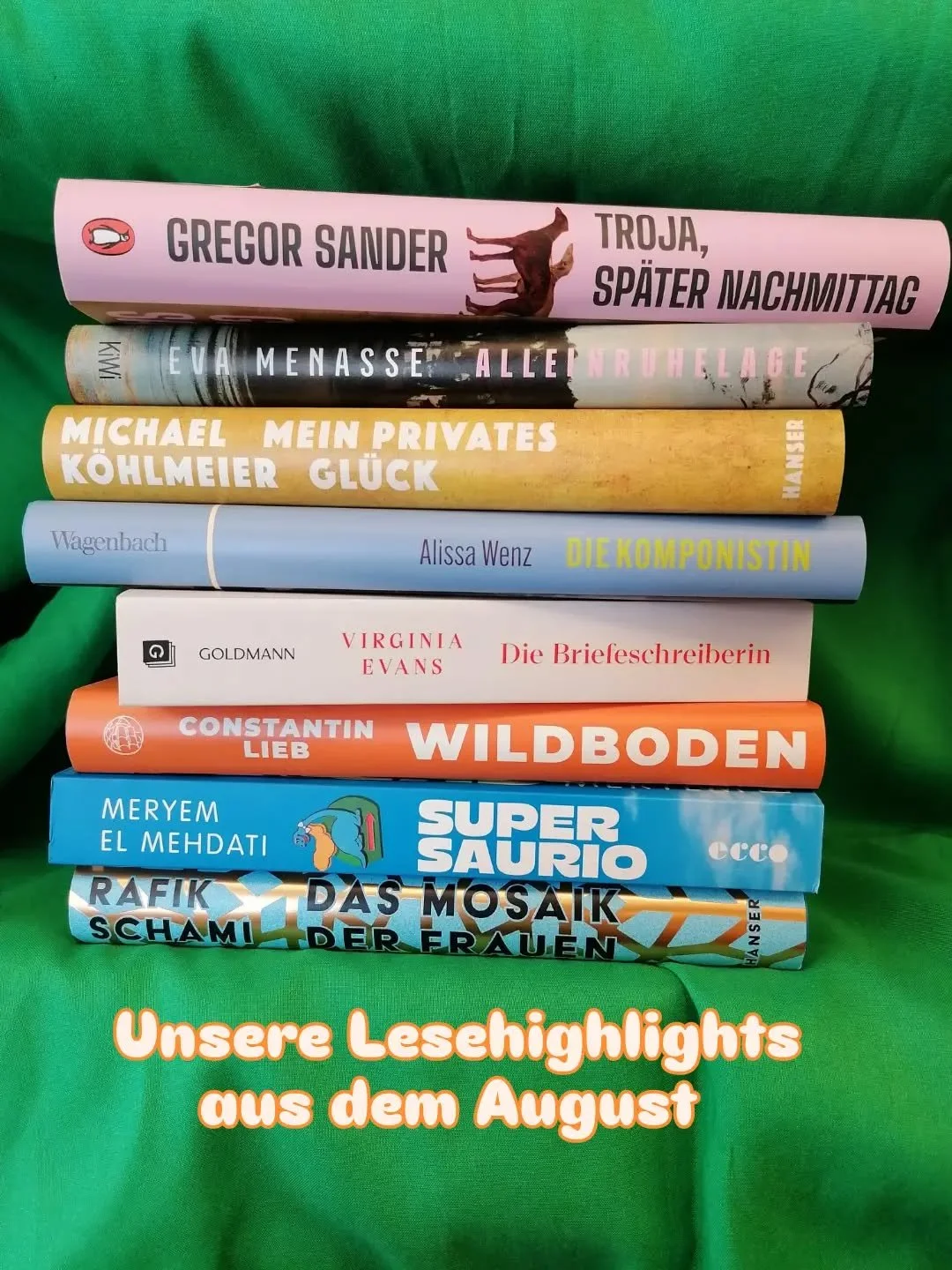 Gregor Sander: Troja, sp&auml;ter Nachmittag (Penguin Verlag)

Eva Menasse: Alleinruhelage (Kiepenheuer &amp; Witsch)

Michael K&ouml;hlmeier: Mein privates Gl&uuml;ck (Hanser Verlag)

Alissa Wenz: Die Komponistin (Wagenbach Verlag)

Virginia Evans: 