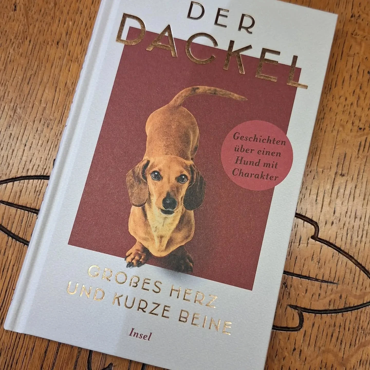 Der 1. Wiener Wienerwalk der Dackelcommunity findet heute am 25.10. statt. Bei uns gibt's seit kurzem das passende Buch dazu mit den sch&ouml;nsten Dackelgeschichten 🥰 Viel Freude beim Spazieren und beim Lesen! 

@inselverlag  #dackelgl&uuml;ck #buc