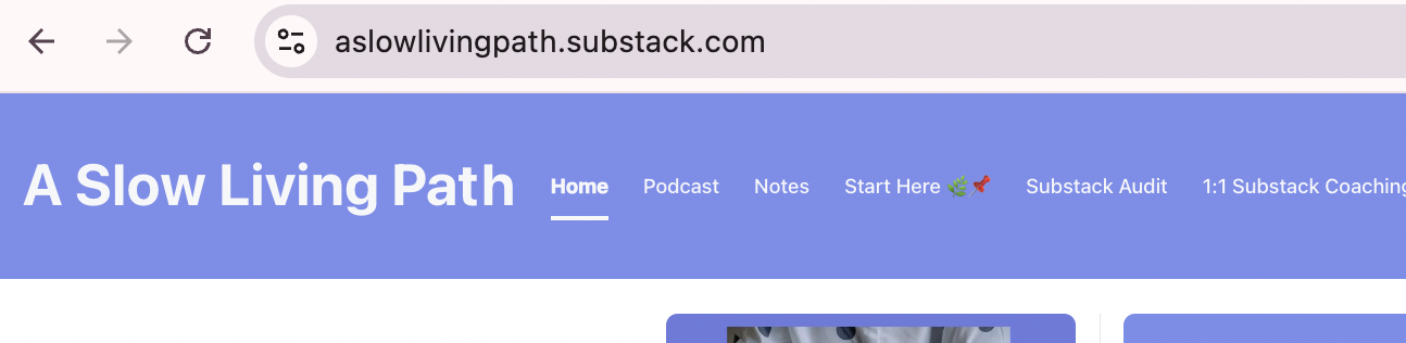 Example of a Substack URL setup screen, illustrating how to pick a stable URL based on your name or brand instead of a narrow niche.