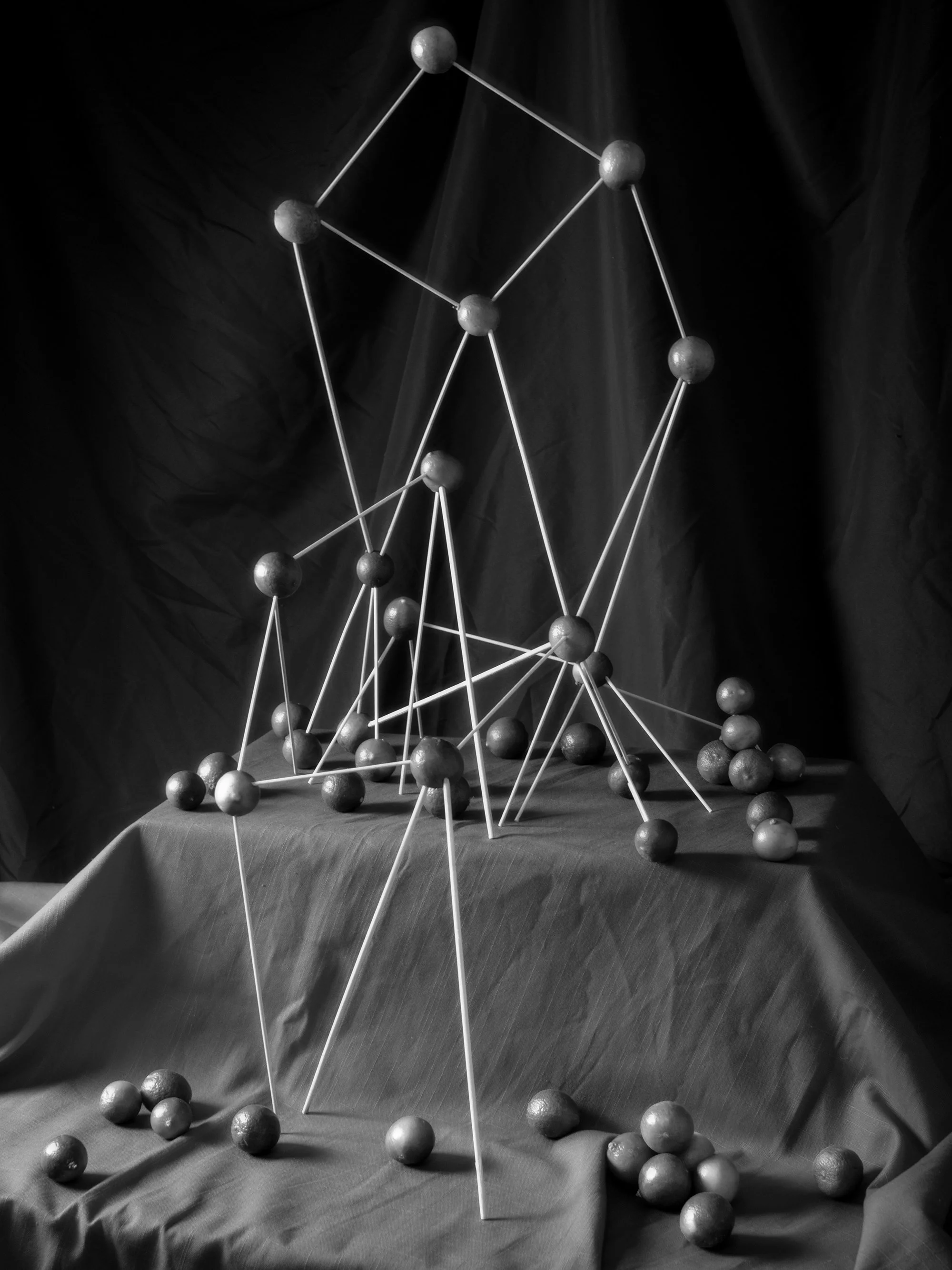 0L4A2316-ForWeb-2026.jpg