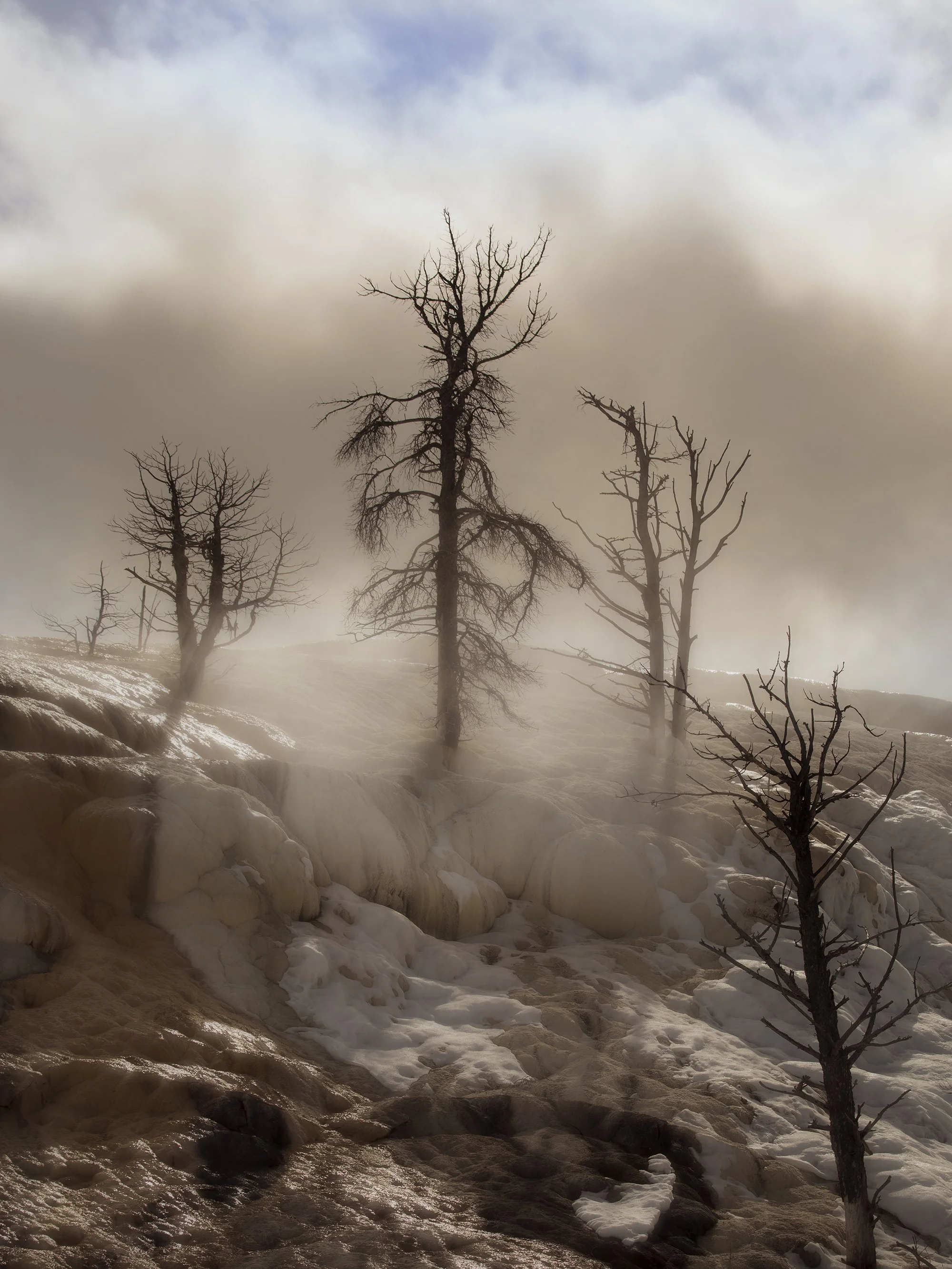 A barren tree stands in a snowy landscape with steam rising in the background, under partly cloudy skies.